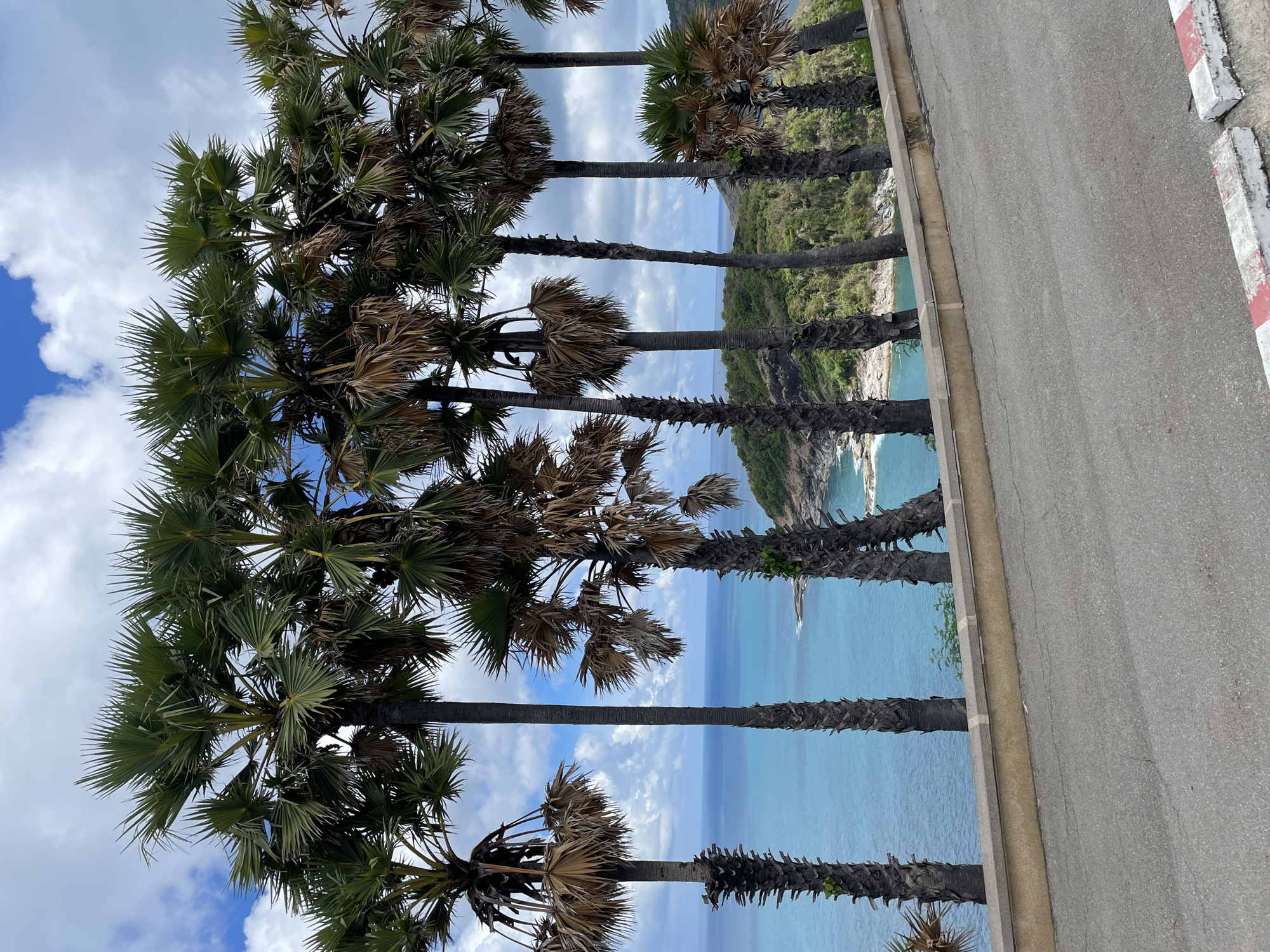 The image shows a view of the coast in Rawai, Thailand, from a roadside lined with tall palm trees. The trees are positioned between the viewer and a turquoise ocean, which contrasts with the road to the right. On the opposite shore, a green, hilly landscape is visible. The sky is filled with white clouds against a blue background. The roadside has a curb and a gray asphalt road, marked with red and white barriers.