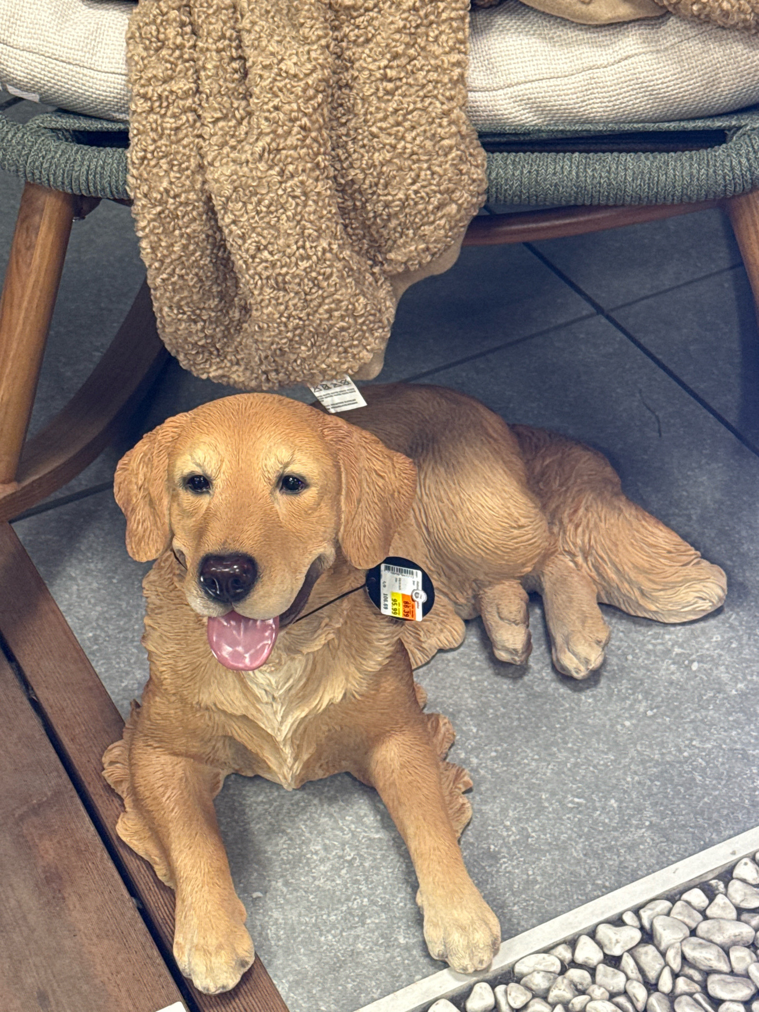 A statue of a golden retriever dog is lying on its side on a grey tiled floor, with its tongue hanging out. The dog statue is brown and appears to be made of resin or a similar material. A price tag is attached to the dog's neck, showing "9.99" and "66.99" as prices, along with a barcode. Behind the dog, the legs of a wooden chair are visible, with a textured brown blanket draped over the seat. The chair has a woven green band around its edge. The overall setting appears to be indoors, possibly a store or home, with no specific indications of the city of Tallinn, Estonia.