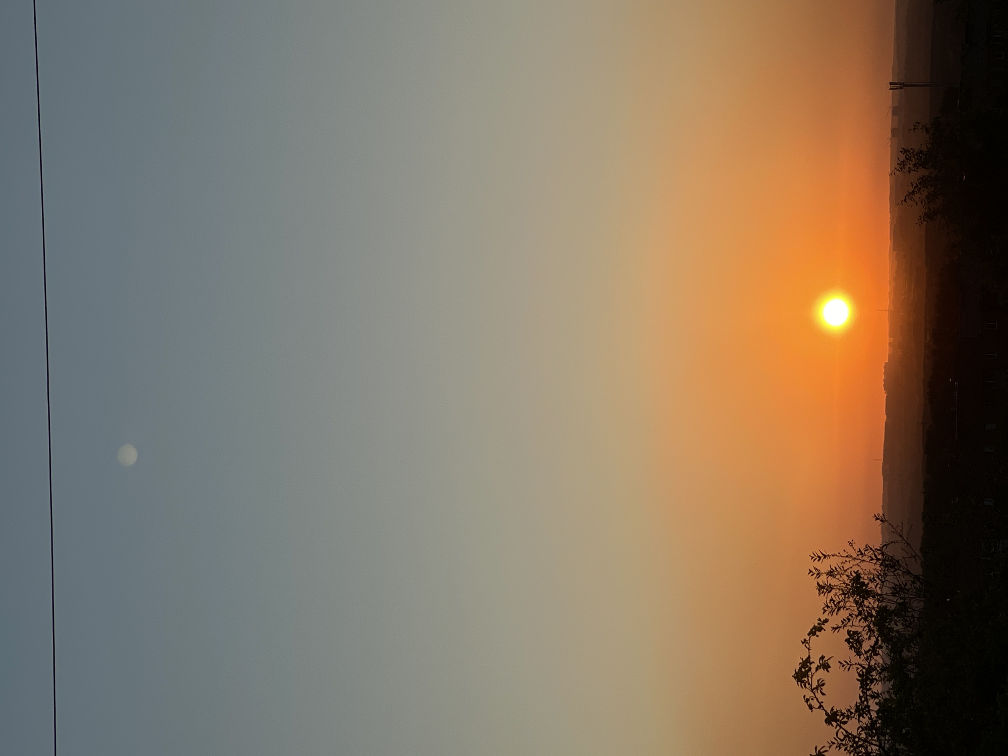 A wide shot captures a hazy sunset over Novokuznetsk, Russia. The sky transitions from a pale blue at the top, through shades of orange and yellow, to a deep orange where the sun is located. A faint, white disc, possibly the moon, is visible in the upper left quadrant of the sky. A thin, dark power line stretches horizontally across the top of the image. In the foreground, the silhouetted branches of a leafy plant obscure the lower left portion of the scene. The middle ground shows a dark, hilly landscape with the faint outlines of buildings and structures, suggesting a cityscape. The sun, a bright, glowing orb, is positioned in the lower-middle section of the frame, casting a warm glow over the horizon.