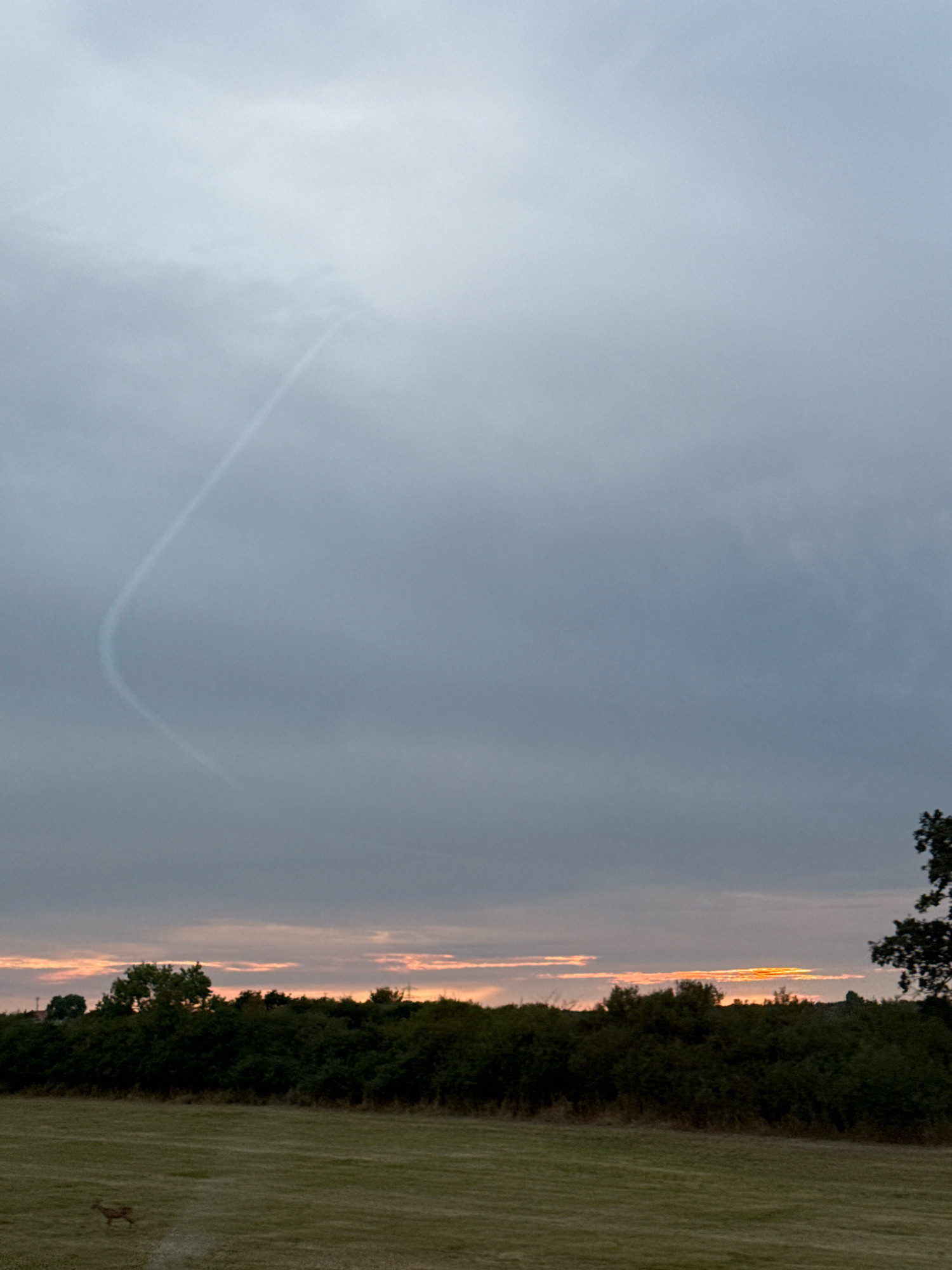 The image depicts a rural landscape under a cloudy sky. A faint contrail curves across the upper portion of the sky. In the middle ground, a dense line of dark green trees and bushes forms a natural boundary. The foreground consists of a mown grassy field, with a lone deer visible on the left side. The horizon is marked by a soft, orange glow, suggesting either sunrise or sunset. The scene appears to be a tranquil, natural environment, likely in the vicinity of Cremlingen, Germany, given the provided context.