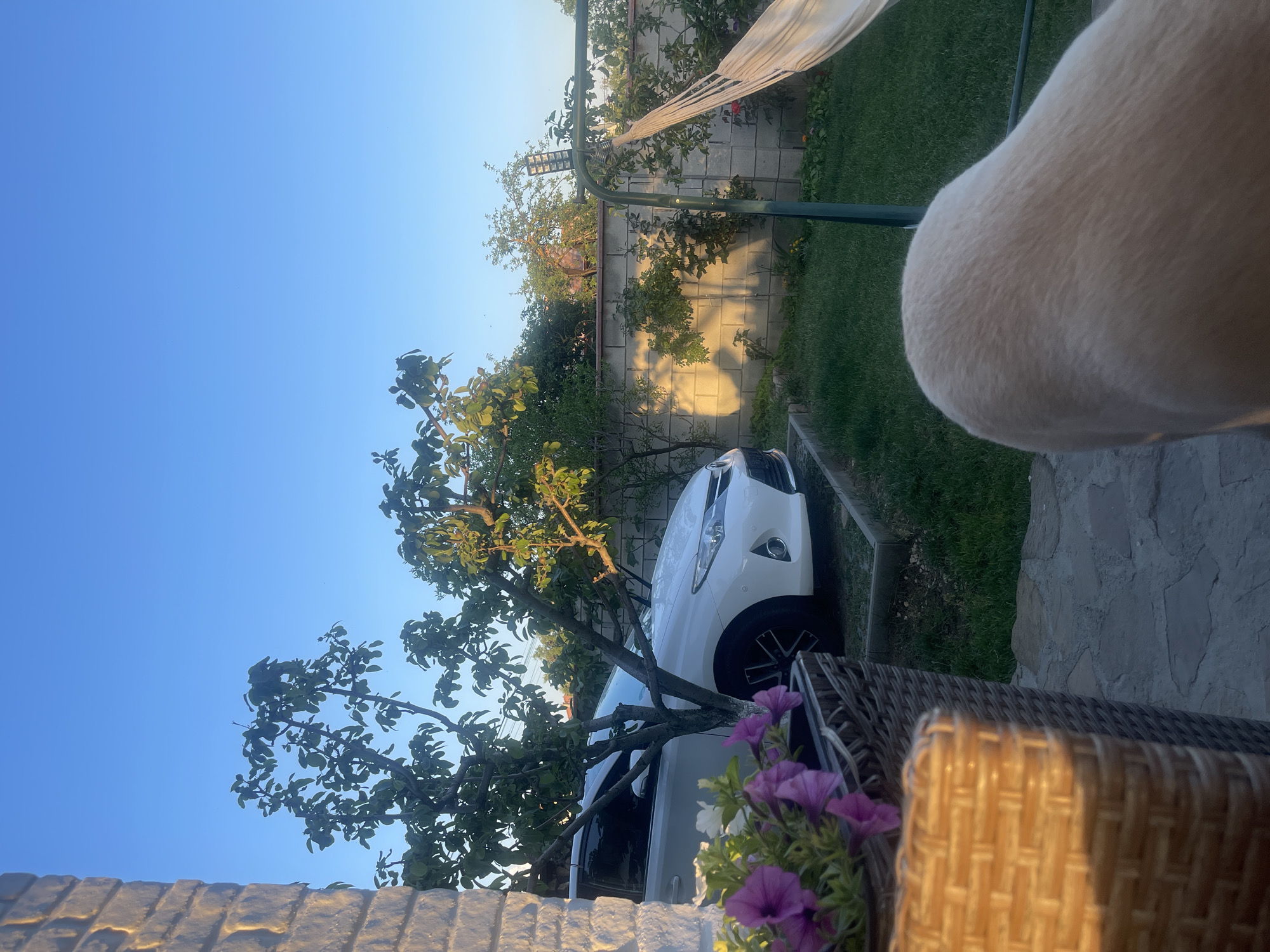 The image depicts an outdoor scene, possibly a garden or backyard, in Varna, Bulgaria. A white car is parked near a tree with green leaves. A section of a brick or stone wall is visible at the bottom of the frame. A wicker chair with purple and white flowers in a pot sits to the side. A hammock is slung between two poles near a concrete block wall. In the upper right corner, a large patch of white fur, likely belonging to an animal (possibly a dog), is visible. The sky is clear and blue, suggesting daylight. The location appears to be a private residence in Varna, Bulgaria.