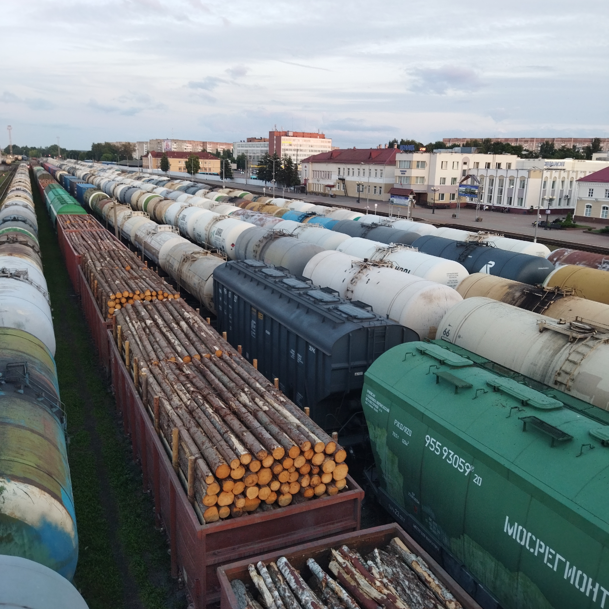 The image shows a railway yard in Polatsk, Belarus. Multiple train cars are parked on adjacent tracks, forming long rows. Some of the cars are tank cars, painted in various colors including white, gray, yellow, and green. One car is a dark gray, covered hopper car. In the foreground, there are open-top rail cars filled with logs, some stacked neatly, others more loosely. The logs are of various diameters and lengths. In the background, buildings of different sizes and architectural styles are visible, suggesting an urban or industrial setting. The sky is overcast with clouds. There are no people visible in the image.