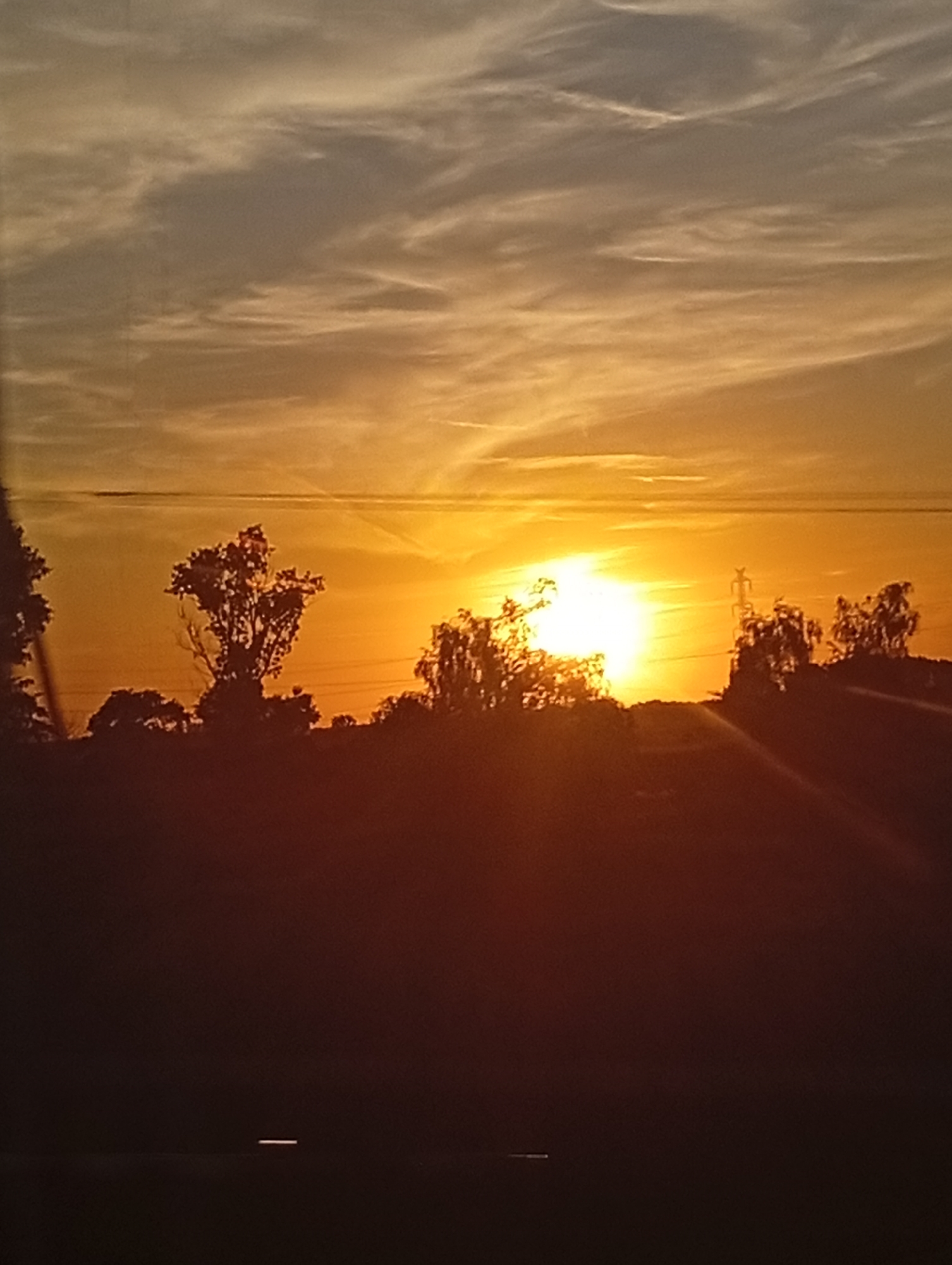 A silhouetted landscape at sunset is depicted. The sky is a gradient of orange and yellow, with wispy clouds. The sun is visible as a bright, almost white disc, low on the horizon, casting long shadows. In the foreground, a dark silhouette of trees and low-lying vegetation stretches across the image. A single, thin horizontal line, possibly a distant power line or object, is visible across the sky. The overall impression is of a rural or semi-rural setting during twilight. There is no indication of people or any specific structures that would pinpoint the location within Kościelec, Poland.