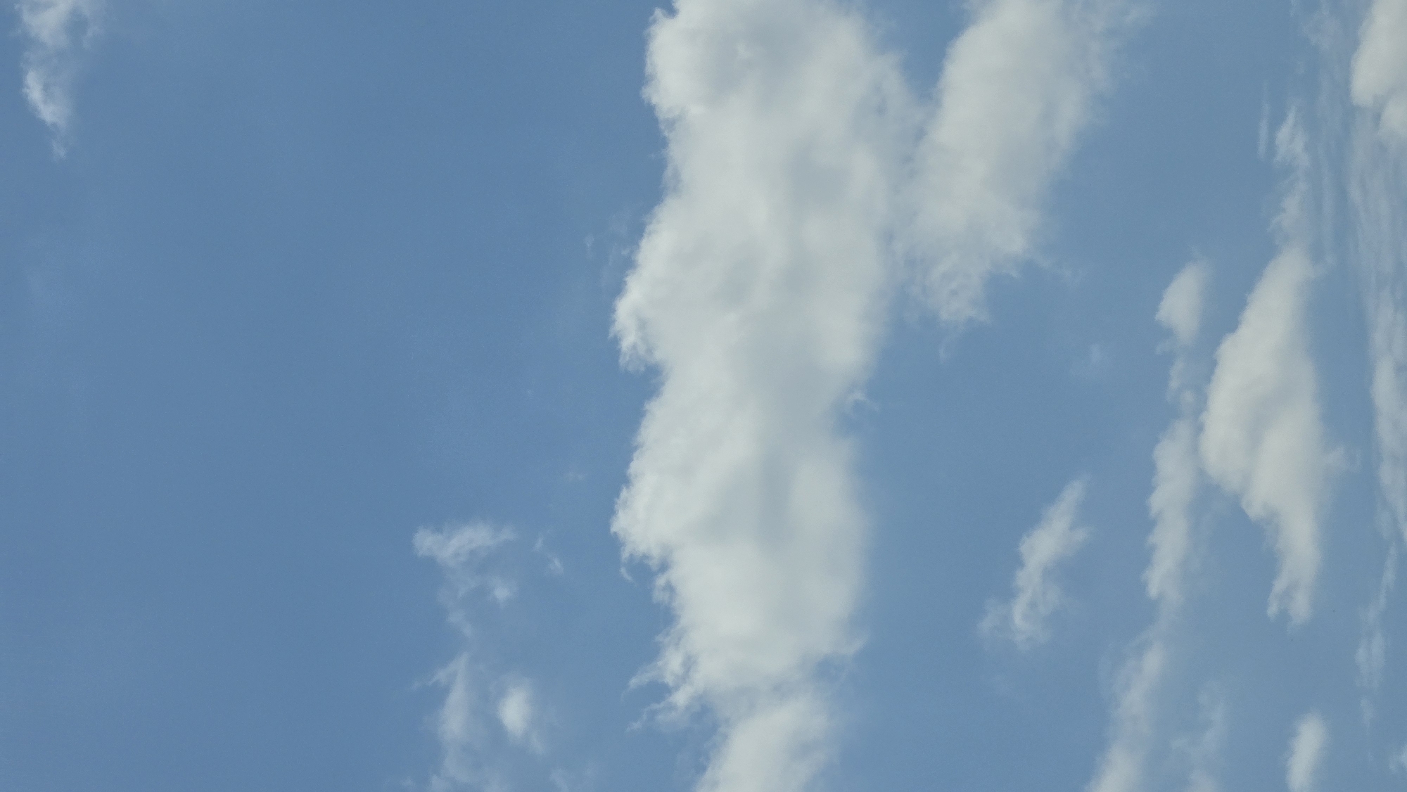 The image is a vertical, eye-level, medium shot of a blue sky with scattered white clouds. The clouds are primarily cumulus and cirrus formations, with some appearing thin and wispy while others are more dense and fluffy. The sky is a clear, light blue, suggesting a daytime scene. There are no visible structures, people, or any other objects within the frame. The location in Calau, Germany is not discernible from the image content itself.