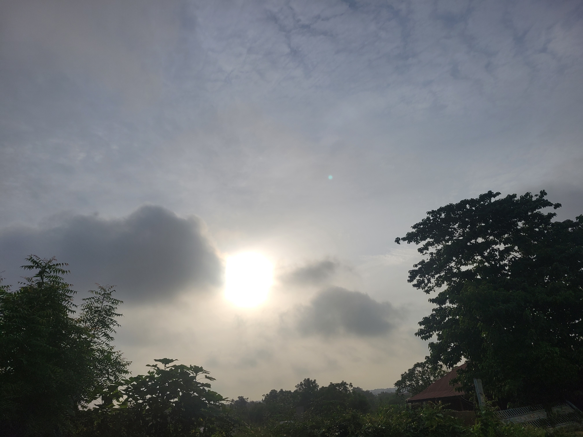 The image captures a view of the sky with the sun partially obscured by clouds. The sun, a bright white orb, is located in the center left of the frame. Dark clouds surround the sun, creating a dramatic effect. In the foreground, the silhouettes of trees are visible against the bright sky, with lush green foliage. To the right, a large tree with dark green leaves dominates the scene. In the background, a glimpse of a building with a reddish-brown roof can be seen peeking through the trees, suggesting a rural or suburban setting. The sky is overcast with scattered clouds, and the overall lighting suggests it might be early morning or late afternoon.