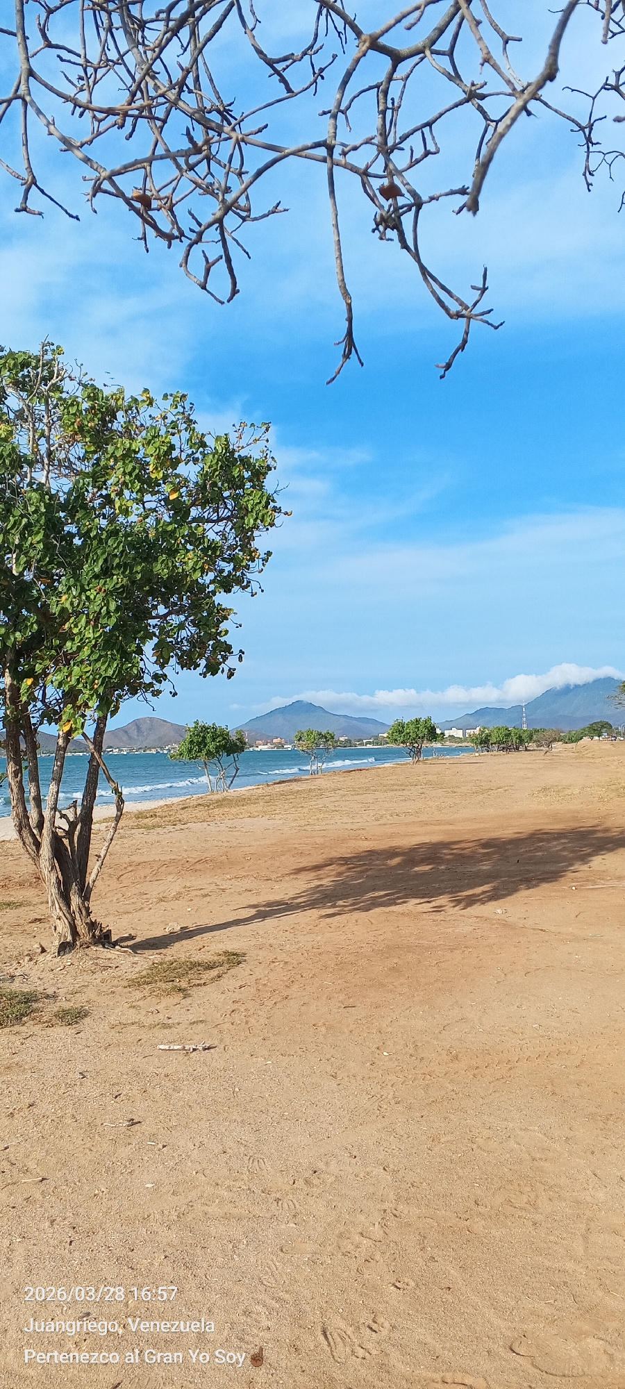 The photograph depicts a beach scene in Juan Griego, Venezuela, on March 28, 2026. The image is captured from a ground-level perspective. The foreground shows a sandy beach with visible footprints. Shadows from trees extend across the sand. In the mid-ground, there's a line of trees along the shoreline, with the ocean visible behind them. Mountains are present in the background. The sky is blue with scattered clouds. Bare branches hang from the top of the frame, partially obscuring the sky. The text on the bottom of the image reads "2026/03/28 16:57 Juangriego, Venezuela Pertenezco al Gran Yo Soy".