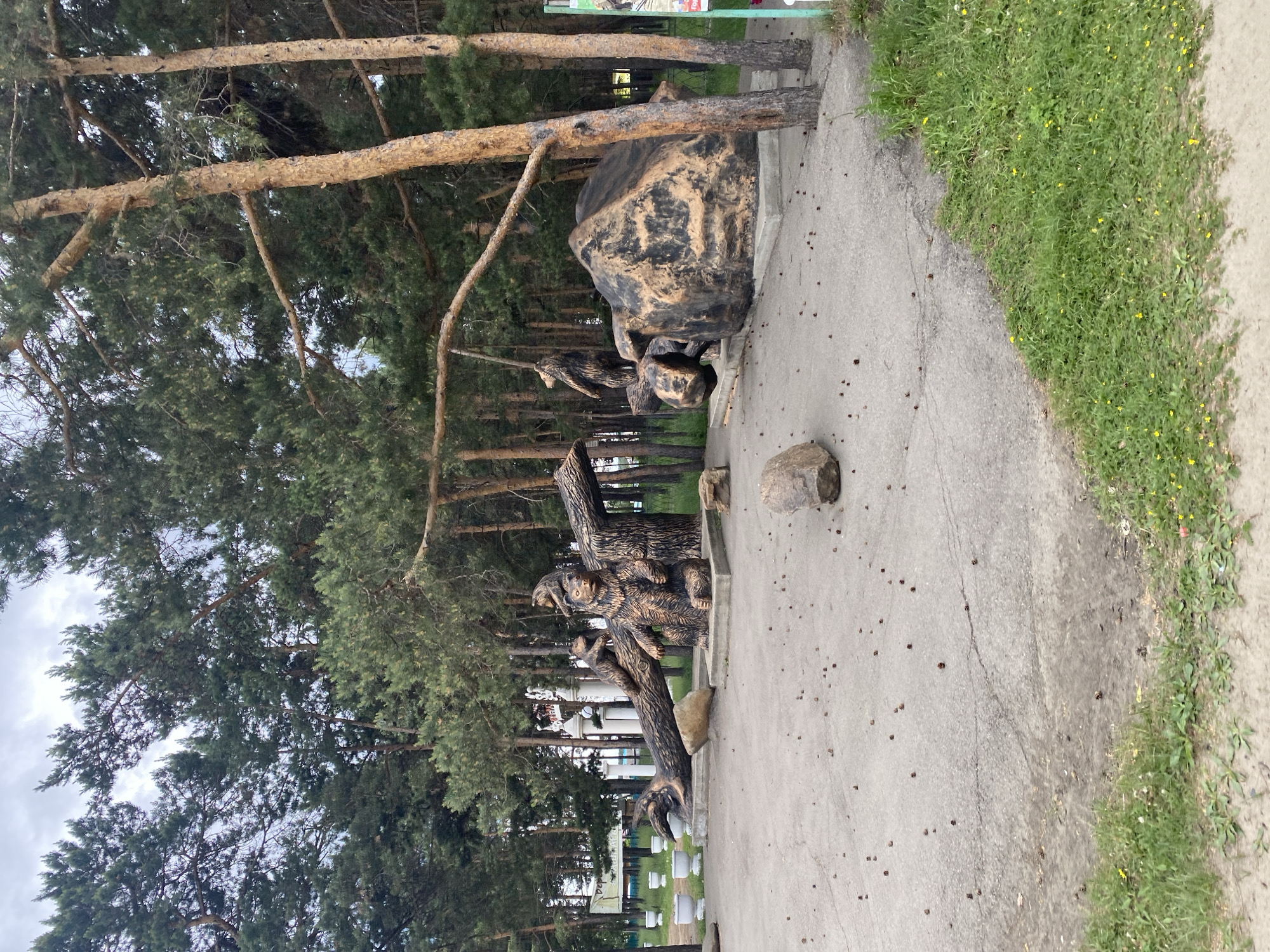 In Sosnovka, Russia, a park setting features a concrete paved area with a line of white planters and tall evergreen trees forming a backdrop. The ground is littered with small pinecones. In the foreground, a large sculpture depicts several bears. One prominent bear is seated on a concrete base next to a thick, dark-colored log that is angled upwards, supported by a concrete structure. Two smaller bears are perched on the log. Further to the right, another sculpture shows a bear standing on its hind legs, holding onto a thick rope that hangs from a tree branch. This bear is positioned next to a large, dark, irregular-shaped rock that rests on a concrete base. The overall scene is one of a decorative park installation in a natural environment.