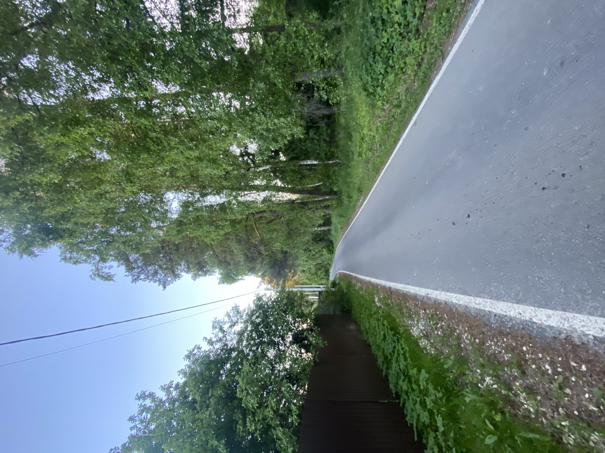 This image captures a curving asphalt road flanked by dense greenery under a clear blue sky in Unknown, Unknown. The road, dark grey with a continuous white line marking its right edge from the viewer's perspective, recedes into the distance as it gently curves to the right and slightly uphill. The asphalt surface exhibits some scattered dark spots or stains.
On the left side of the road, a narrow verge of dirt and sparse green vegetation, interspersed with small white pebbles, borders the white line. Behind this verge is a tall, dark brown corrugated metal fence, which follows the road's curve. Beyond the fence, dense green deciduous trees are visible, with some branches extending over the fence.
On the right side of the road, a similar narrow verge of dirt and sparse greenery separates the road from a thick, untamed forest. This forest consists of numerous deciduous trees, including several birch trees with visible lighter trunks, all covered in vibrant green foliage. The trees form a dense canopy that partially obscures the sky and creates a wall of green along the road. Overhead, two thin, dark utility lines traverse the sky diagonally from the upper left towards the middle right, approximately paralleling the road's direction. The sky above is clear and light blue. No people, vehicles, or animals are present.