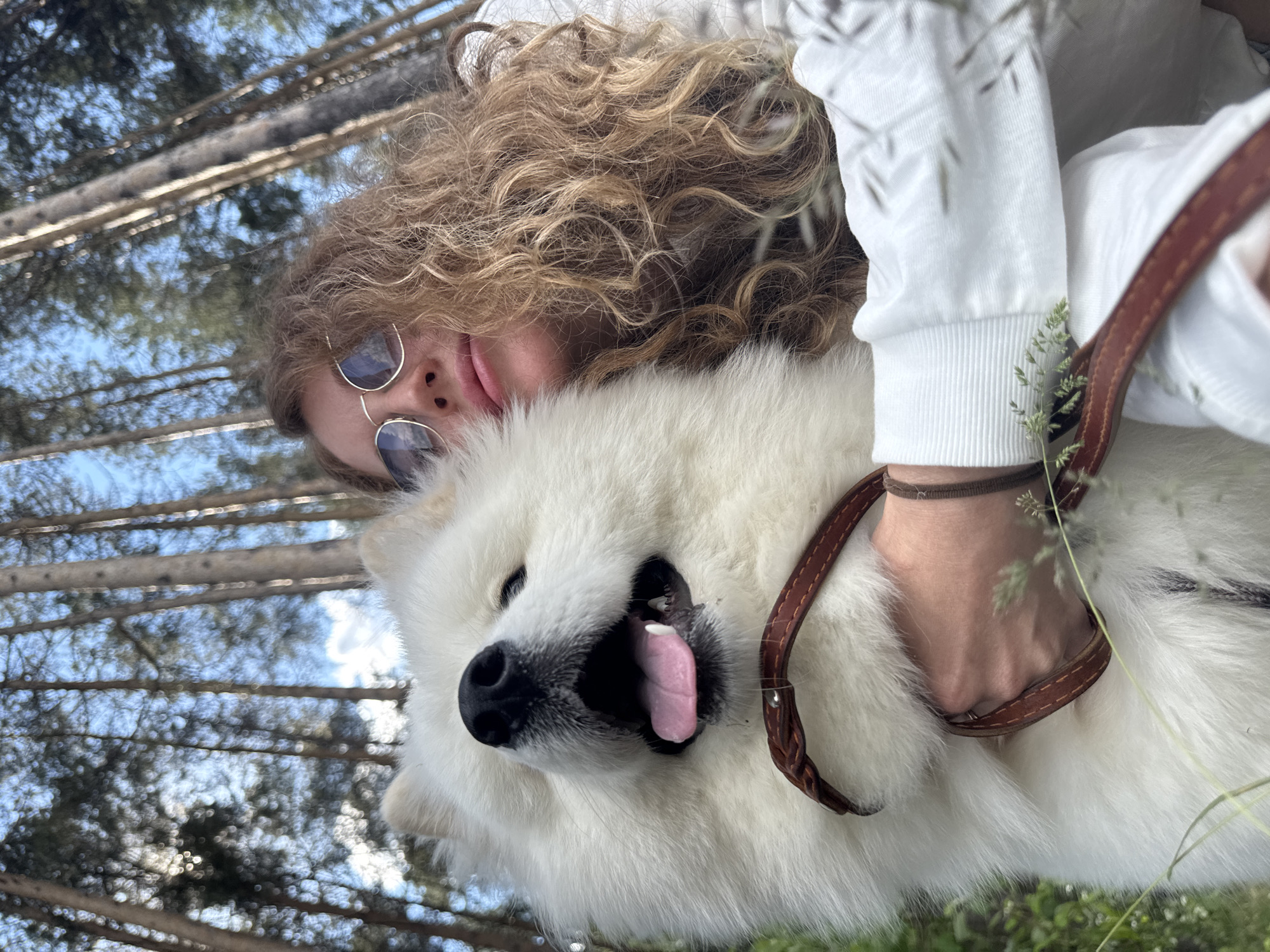 A close-up, low-angle, outdoor selfie captures a young adult with curly blonde hair, wearing round sunglasses and a white sweatshirt, embracing a large, fluffy white dog, likely a Samoyed, in a forest. The dog's mouth is open with its tongue lolling out, and its head is tilted upwards. A brown leather dog leash is visible, held by the person's hand, which is resting on the dog's fluffy fur. The background consists of tall, slender pine trees with a clear blue sky peeking through the canopy. The lighting suggests a bright, sunny day. The location is the city of Chaikovsky, Russia.
