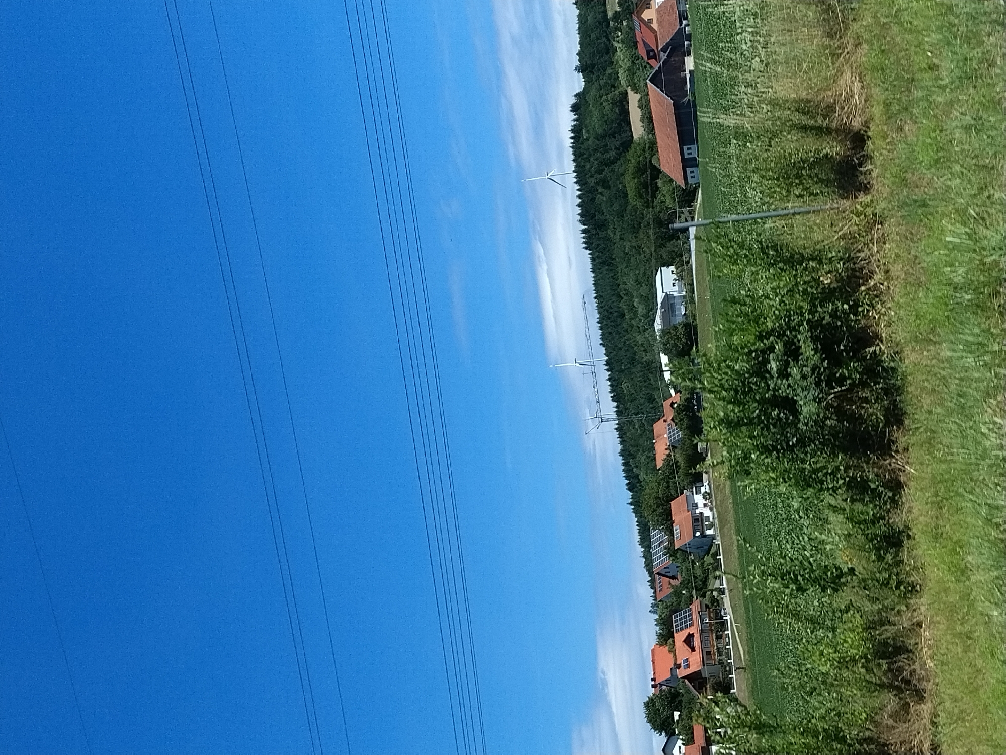 The image depicts a rural landscape under a clear blue sky. In the foreground, tall green grass and shrubs line a pathway, with a silver pole visible on the right. Beyond the immediate foreground, a vast green field stretches towards a cluster of buildings in the mid-ground. These buildings are a mix of residential houses with red-tiled roofs and some modern structures, possibly with solar panels. Further in the background, a dense, dark green forest covers a rolling hill. Two white wind turbines stand prominently on the hilltop, indicating a nearby wind farm. The scene is likely located in or around Wörth an der Donau, Germany, given the architectural style of the houses and the presence of wind turbines, which are common in the German countryside. There are no people visible in the image, and the overall atmosphere is serene and natural.