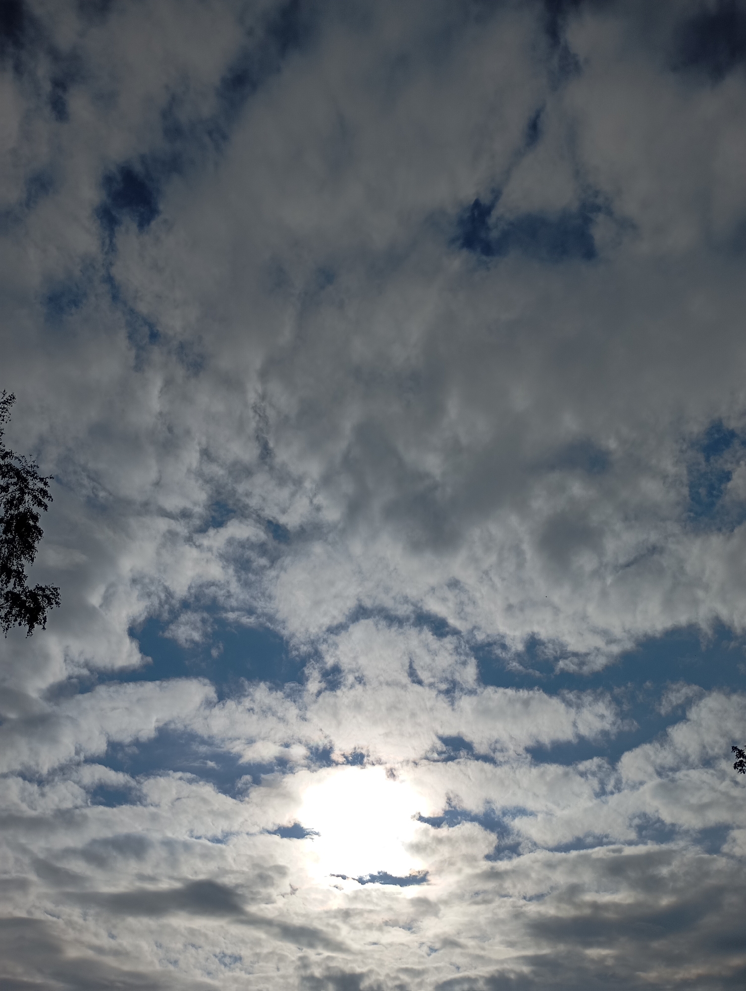 A wide-angle shot captures a cloudy sky with the sun peeking through. The clouds are varied in texture and color, ranging from dark gray to bright white. The sun is located in the lower-middle portion of the frame, casting a bright glare. In the upper left corner, a portion of a tree with dark leaves is visible against the sky. The scene appears to be an outdoor environment in the city of Fokino, Russia.