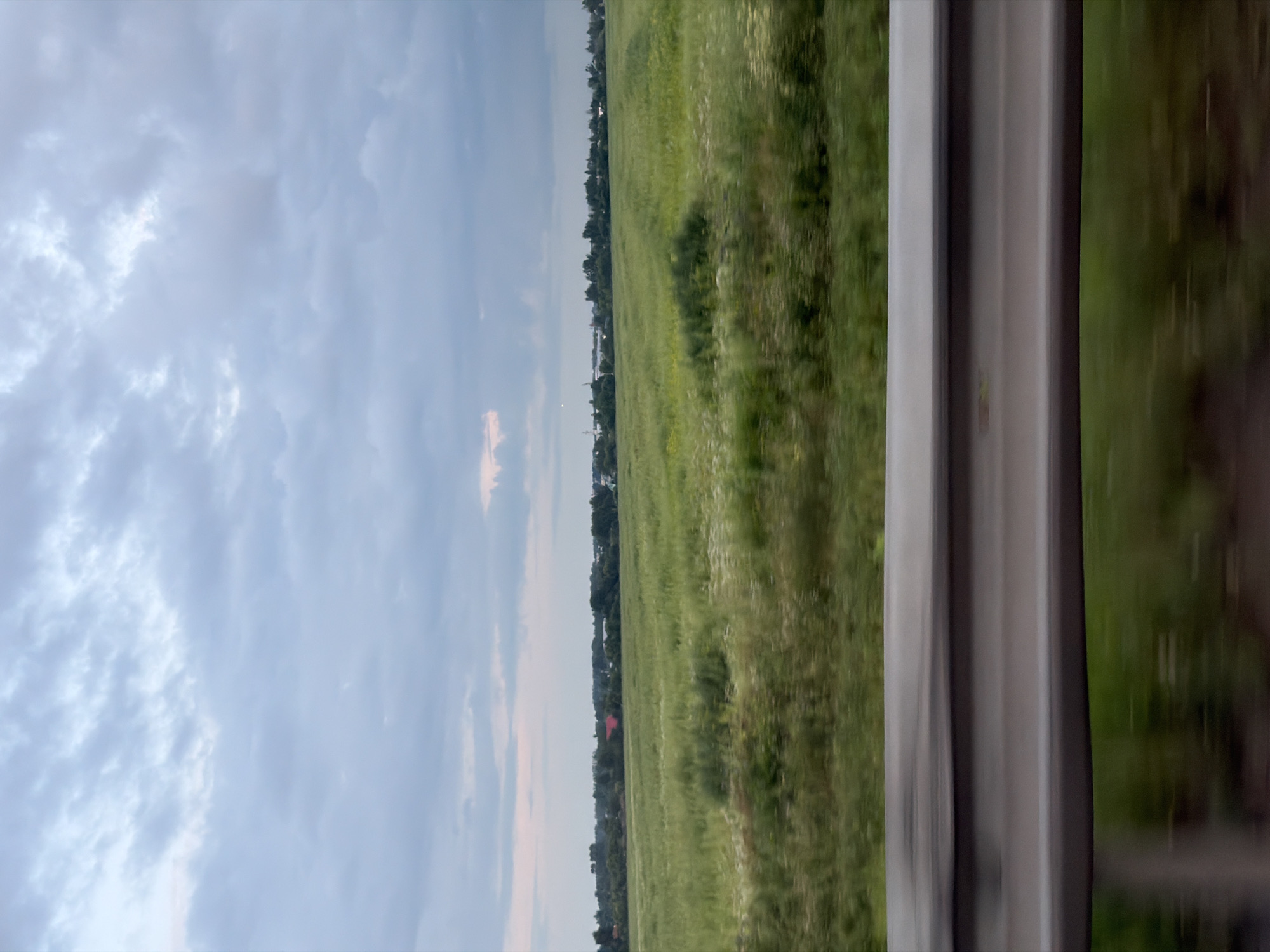 A wide shot captures a rural landscape at dusk, likely in the city of Kondratovo, Russia. The sky is filled with a blanket of gray clouds, tinged with faint hues of pink and orange near the horizon. Below the sky, a broad expanse of green fields stretches across the frame. The field appears to be a crop, possibly wheat or a similar grain, with some patches of white wildflowers scattered throughout. A treeline forms a dark border along the horizon, with hints of buildings nestled within the trees, including a prominent red roof on the left side. In the foreground, a blurred metal guardrail runs horizontally across the lower portion of the image, suggesting the photograph was taken from a moving vehicle, such as a car or train. The blurred motion is evident in the foreground foliage as well.