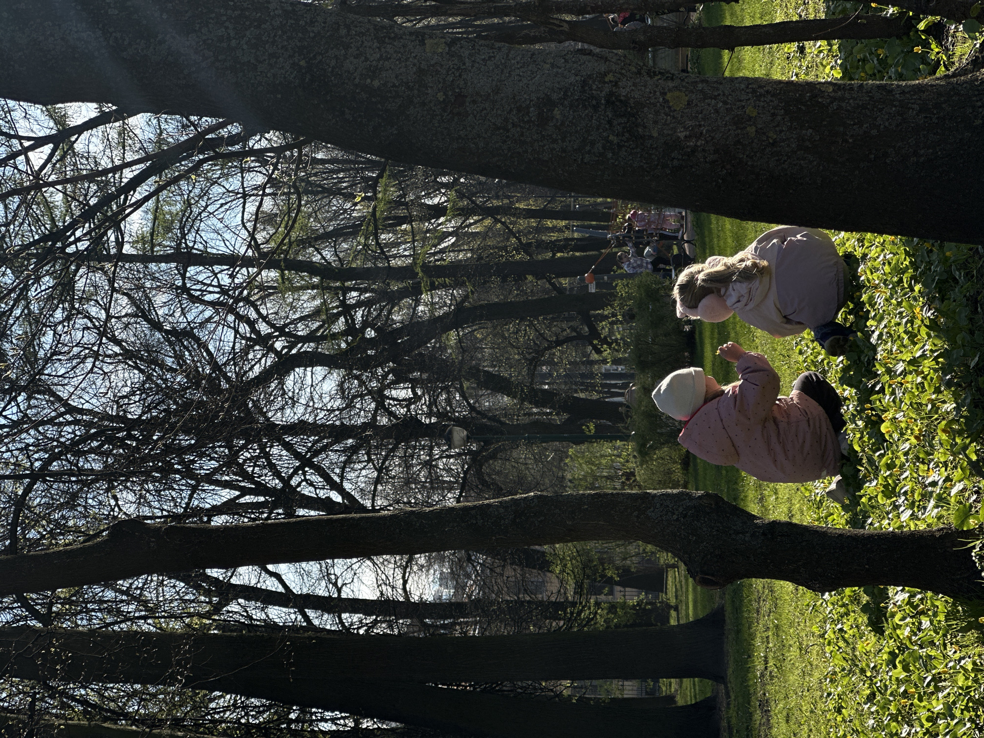 Two children sit on the ground in a park with many large trees, which are bare of leaves except for some very small buds. One child wears a pink jacket and a white hat; the other wears a beige jacket and earmuffs. They are in a grassy area, and there are other people in the background.