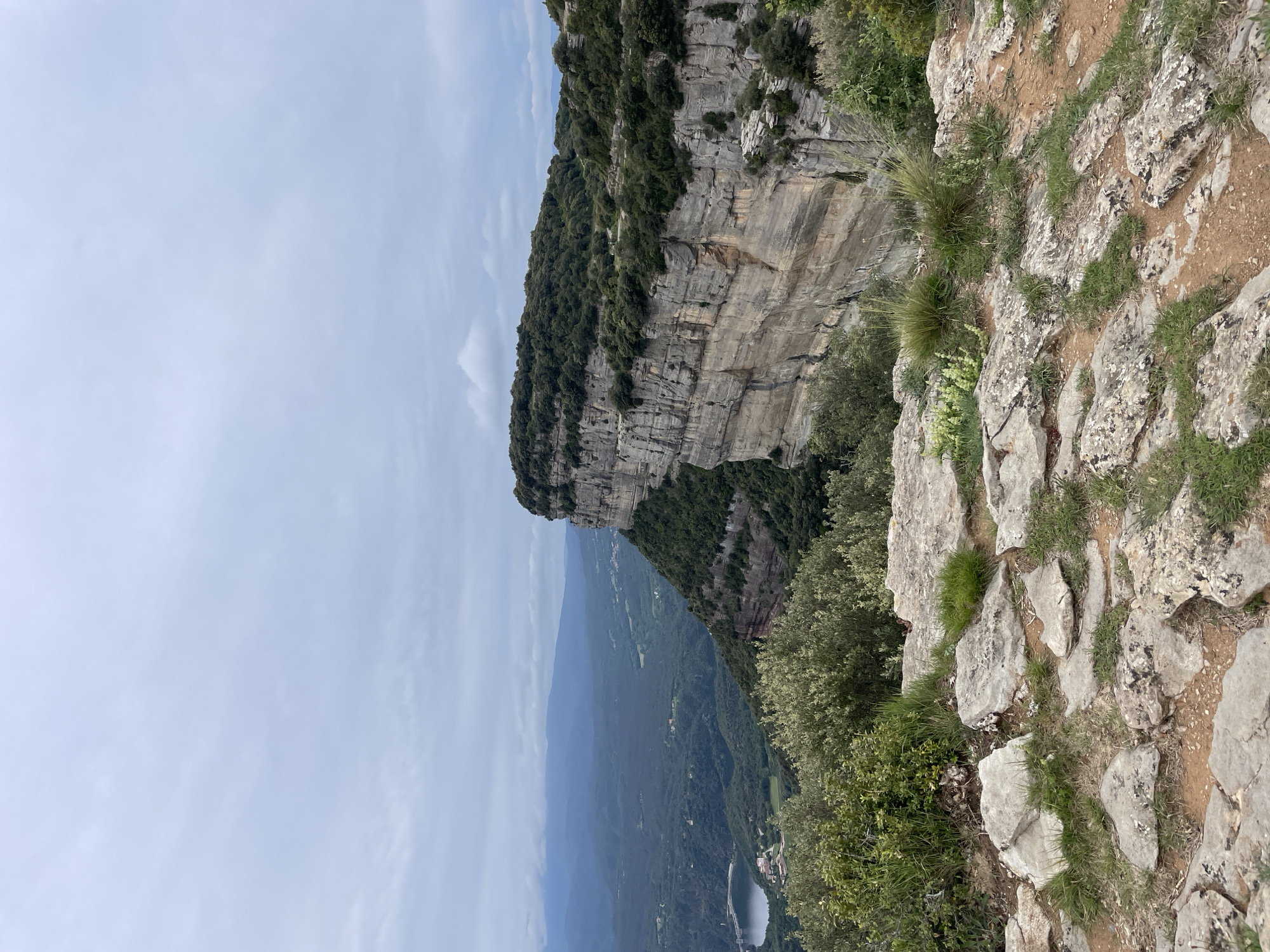 The image shows a scenic view from the cliffs in Tavertet, Spain. The frame is vertically oriented.
Foreground: A rocky ledge covered with sparse vegetation and small plants forms the immediate foreground. The terrain consists of light-colored, weathered stones interspersed with patches of brown soil and green grass.
Midground: The main subject is a towering cliff face with horizontal layers of rock, indicative of sedimentary formations. The cliff is covered in dense green foliage, suggesting a forest. In the distance, a mountainous landscape stretches towards the horizon, with a valley containing trees and a visible small lake.
Background: The sky is mostly overcast, with a pale blue color and some areas of cloud cover. The weather conditions appear to be partly cloudy or overcast.
Details: There are no people visible in the image. The environment is primarily natural, with a focus on geological formations and vegetation. The photograph highlights the landscape and natural features typical of the Tavertet area.
