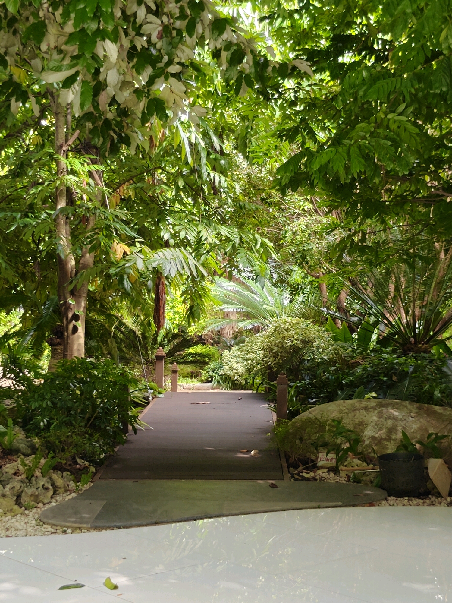 This image depicts a shaded, lush garden path in Mu Si, Thailand. A dark wooden boardwalk, flanked by a large, moss-covered boulder and a dark pot, leads into a dense canopy of green foliage. The path is surrounded by various tropical plants, including palm trees and bushes with white and green leaves. Small white stones and larger grey stones line the edges of the walkway, and a polished white tiled floor is visible in the foreground, reflecting the light and greenery above. The scene appears tranquil and natural, suggesting a serene outdoor setting within a botanical garden or private estate.