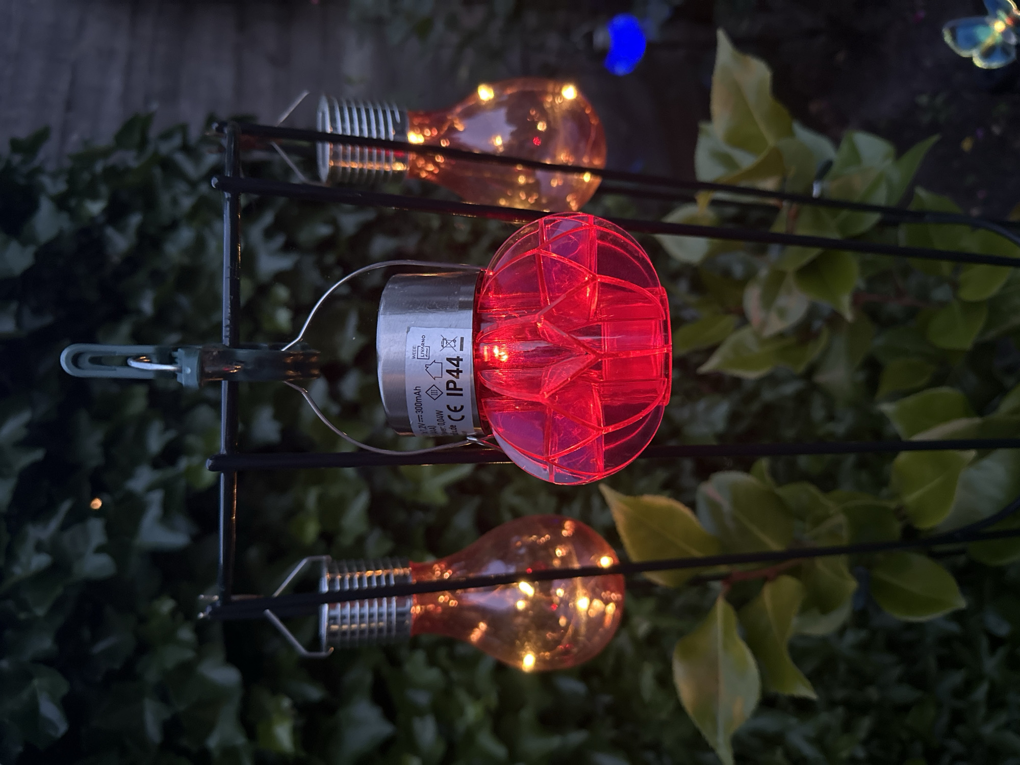 In the city of Steenwijk, Netherlands, this image captures a close-up view of three decorative solar-powered garden lights at dusk. The primary subject is a central red spherical light with a faceted surface, illuminated from within. To its left and right, two other lights are visible, designed to resemble vintage incandescent bulbs, each containing a string of warm white LEDs that create a glowing effect. These lights hang from a black metal stand, which is partly obscured by lush green foliage in the foreground and background. A bright blue light is subtly visible in the blurred background, suggesting other decorative elements in the garden. The lighting suggests it is evening, with natural light fading and the solar lights beginning to provide illumination. The overall impression is one of a tranquil garden setting.