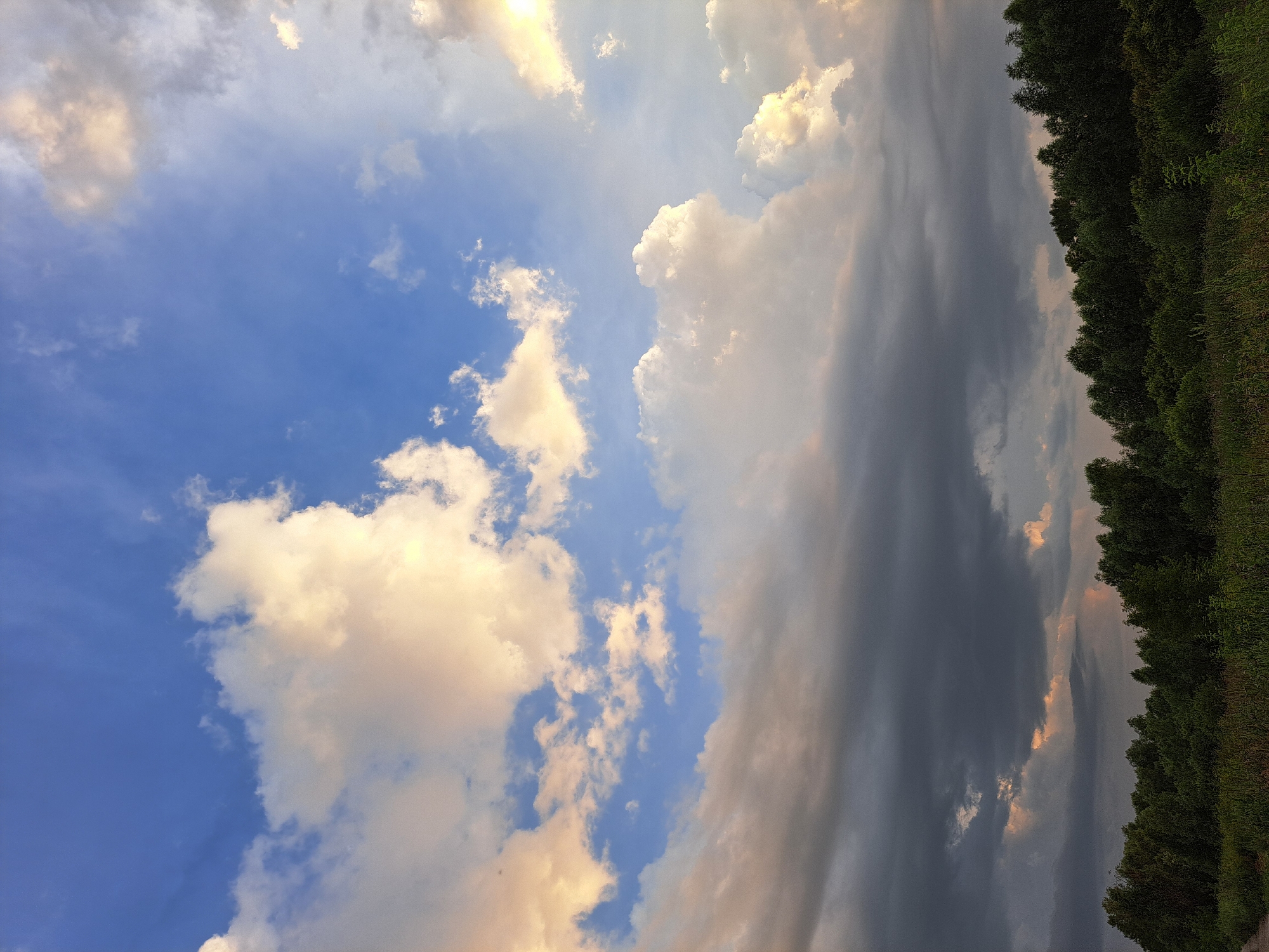 This image shows a dramatic sky over a dense treeline. The sky is a mix of deep blue and grey, with voluminous white and yellowish clouds illuminated by the sun. The clouds are varied in texture and form, with some appearing wispy and others more solid and cumulus-like. Along the horizon, a dark, heavy bank of clouds suggests an approaching storm or recent rain. Beneath this sky, a thick forest stretches across the lower part of the frame, its dark green foliage creating a distinct line against the lighter sky. In the foreground, there is a strip of overgrown grass and vegetation. There are no people or specific man-made structures visible, suggesting a natural, undeveloped landscape, possibly on the outskirts of Cherntsk, Russia, characterized by its rural or semi-rural environment.