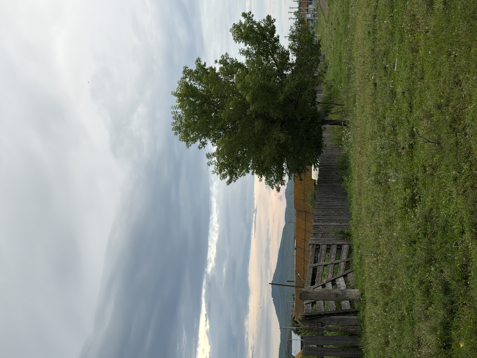 A vertical, medium shot captures a rural landscape under a cloudy sky. In the foreground, a field of green grass with sparse wildflowers stretches across the frame. To the left, a rustic wooden fence with a gate, made of weathered planks and posts, encloses an area. Behind the fence, a single, large deciduous tree with dense green foliage stands prominently in the middle ground. Further in the background, a series of residential buildings with orange roofs and other structures are visible, hinting at a small village. Beyond the village, a large, tree-covered mountain dominates the horizon, its slopes softened by a pale pink and orange glow from the sky. The overall atmosphere is serene and natural.