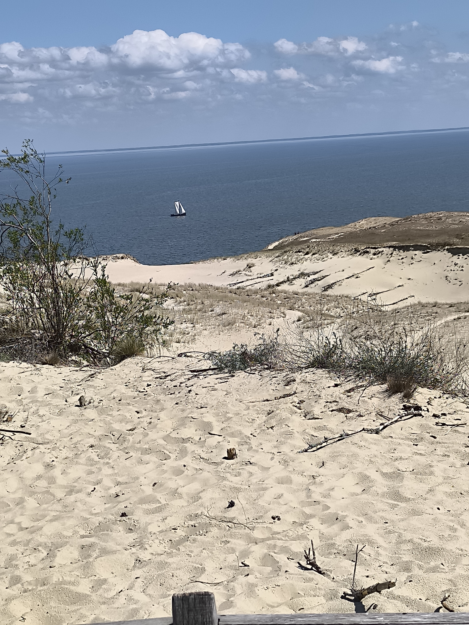The image shows a sandy dune landscape overlooking a body of water. In the distance, a small sailboat with white sails is visible on the water. The foreground is dominated by sand with scattered dry vegetation and small branches. The middle ground features rolling sand dunes with sparse grasses. The background consists of the blue water, a distant horizon line, and a sky with scattered white clouds. The scene appears to be a natural coastal environment. This scene is characteristic of the Curonian Spit in Neringa, Lithuania, known for its extensive sand dunes and coastal scenery. No people are clearly discernible in the image.