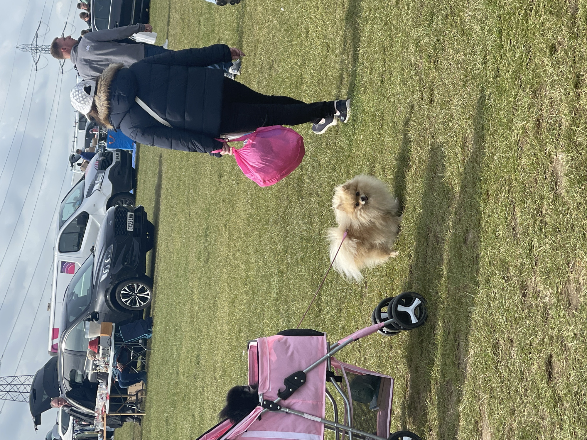 The image depicts a scene at a car boot sale, likely in Sevenoaks, United Kingdom, due to the license plates visible on the cars. There is a grassy area with parked vehicles and individuals engaged in buying and selling items. In the foreground, a woman wearing a dark jacket, black pants, and sneakers walks with a pink reusable shopping bag. A small Pomeranian dog is on a leash next to her. A pink dog stroller with a dark-colored dog inside is also visible nearby. Overhead power lines and pylons are visible in the background.