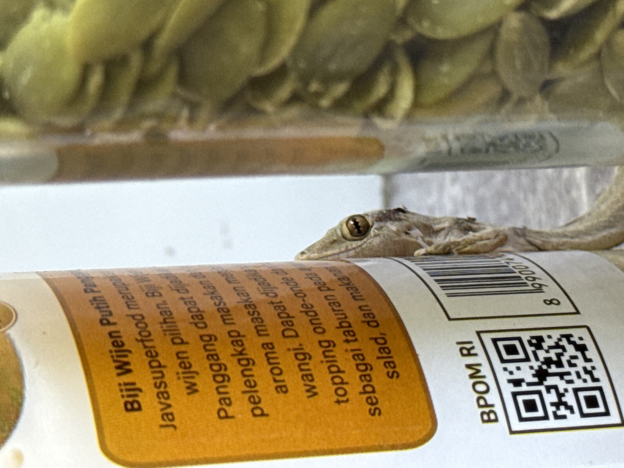 A close-up shot depicts a gecko resting on a product label. The product label contains the words "Biji Wijen Putih Pan" and "Javasuperfood" and has a barcode and QR code printed on it. The gecko is light gray and has a brown eye, and it is positioned with its head and front portion of its body visible. The background features what appears to be a jar filled with seeds. The location and city are unknown.