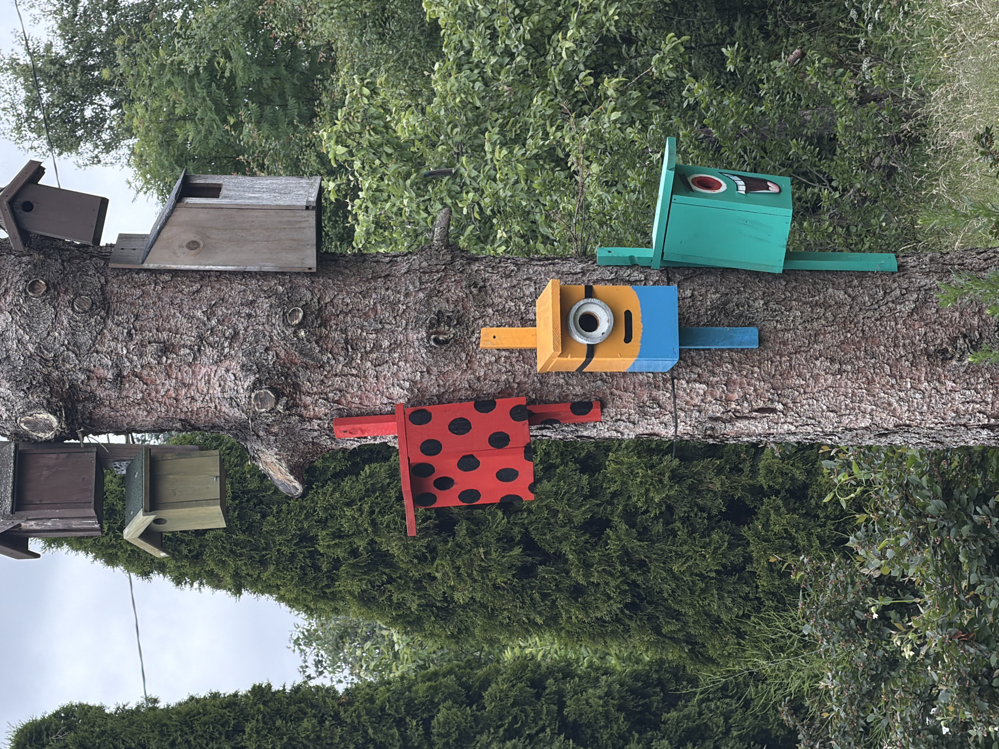 The image shows a tree trunk adorned with several creatively decorated birdhouses. The birdhouses are of various designs and colors, including a green one with a painted face, a yellow and blue one resembling a Minion character, and a red and black polka-dotted one like a ladybug. There are also more traditional-looking wooden birdhouses. The tree trunk is thick and textured, with visible knots and bark. The background consists of lush green foliage and trees, suggesting an outdoor, natural setting. The sky is overcast, indicating a cloudy day. The birdhouses are mounted horizontally on the tree, suggesting they are intended for birds. No people are visible in the image, and no text is present. The overall scene appears to be a whimsical and artistic display in a garden or woodland area.