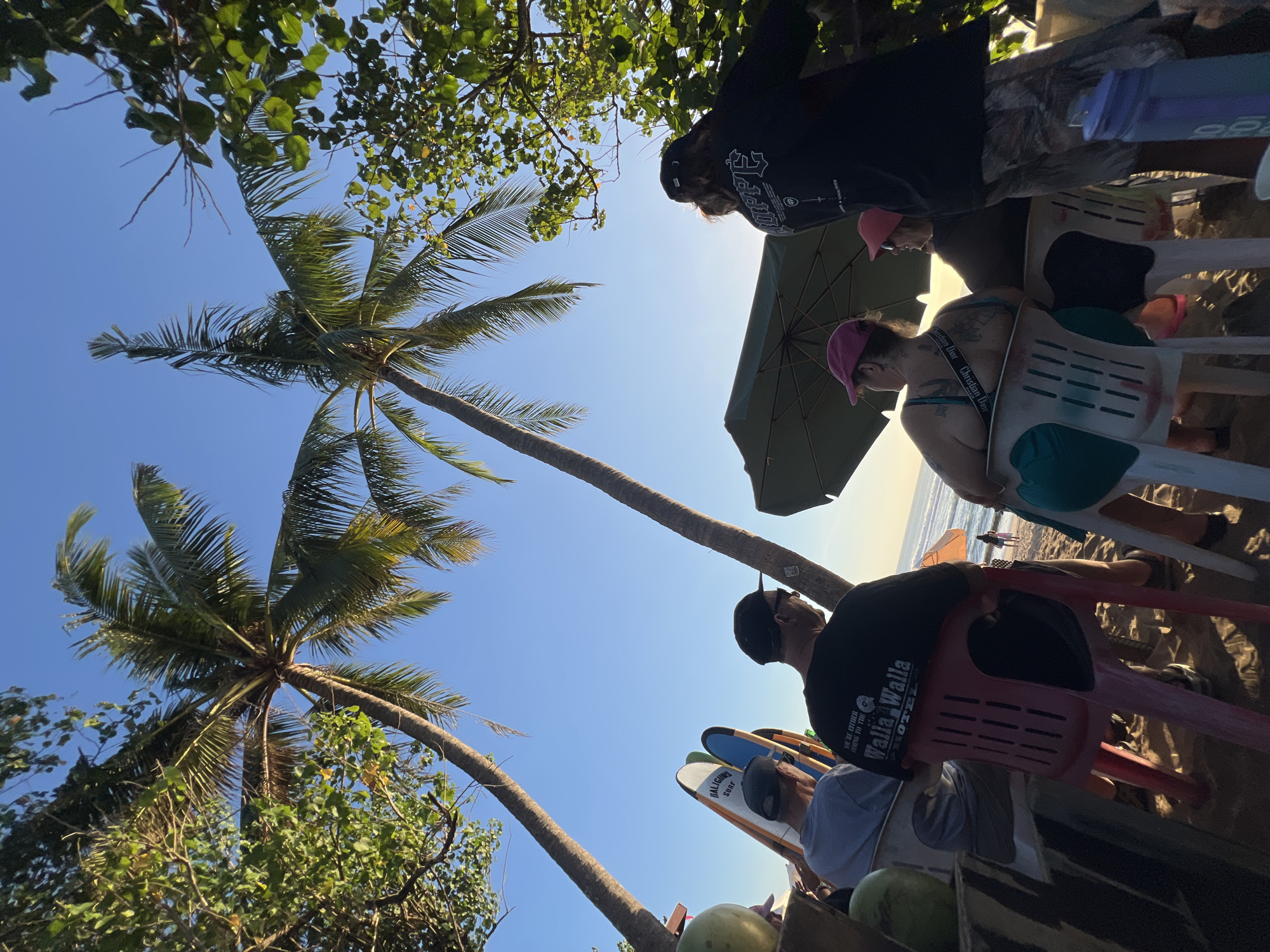 In Kuta, Indonesia, a group of people are seated on chairs on a sandy beach, with palm trees overhead and the ocean in the background. Two palm trees frame the scene from the left and right, with their fronds rustling against a clear blue sky. Several surfboards are propped up against a wooden structure on the left side of the image. A group of four individuals are the primary focus, seated in chairs facing away from the camera, towards the ocean. The person on the far left is wearing a grey t-shirt and a cap. Next to them, a person in a black t-shirt with white lettering is seated in a red chair. Two individuals are seated in white chairs to the right, one wearing a green swimsuit and a pink cap, and the other a dark top and a pink cap. A dark green umbrella is positioned behind them, providing shade. The ocean stretches out towards the horizon, with gentle waves and a few people visible in the distance. The scene suggests a relaxed atmosphere, possibly at a beachside cafe or bar in Kuta.