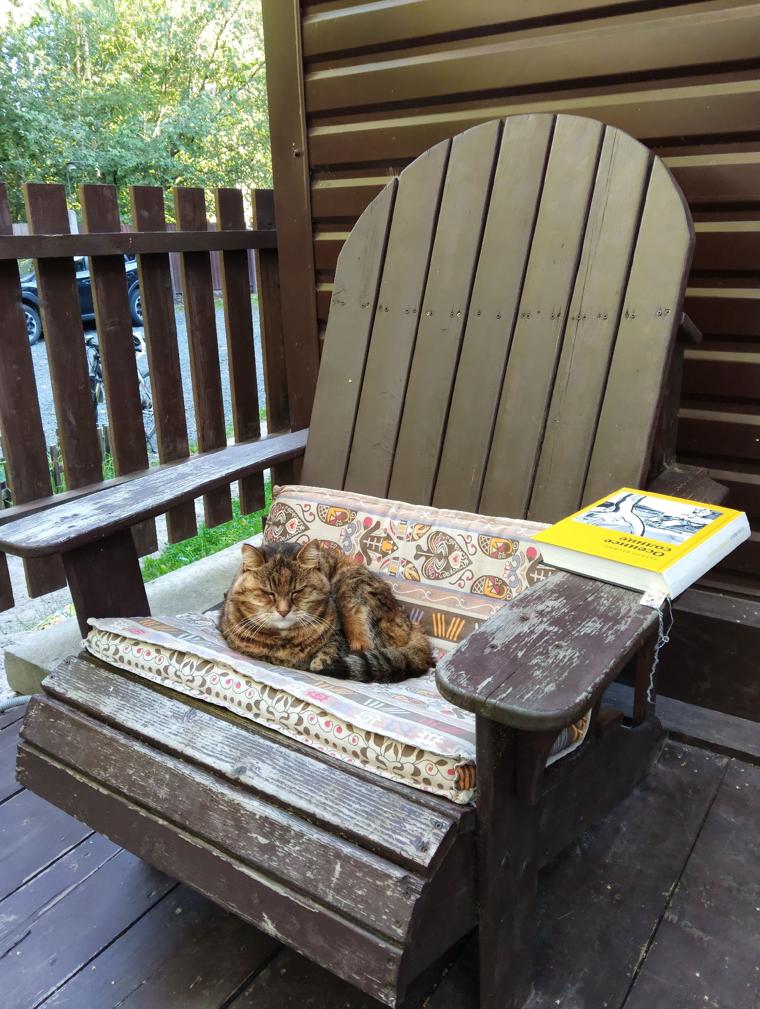 A tabby cat is sleeping on a cushioned Adirondack chair on a wooden porch. The cat is curled up and its eyes are closed. A yellow book with an illustration of a bird is resting on the armrest of the chair. In the background, a wooden fence and trees are visible. The scene appears to be located in a residential area.