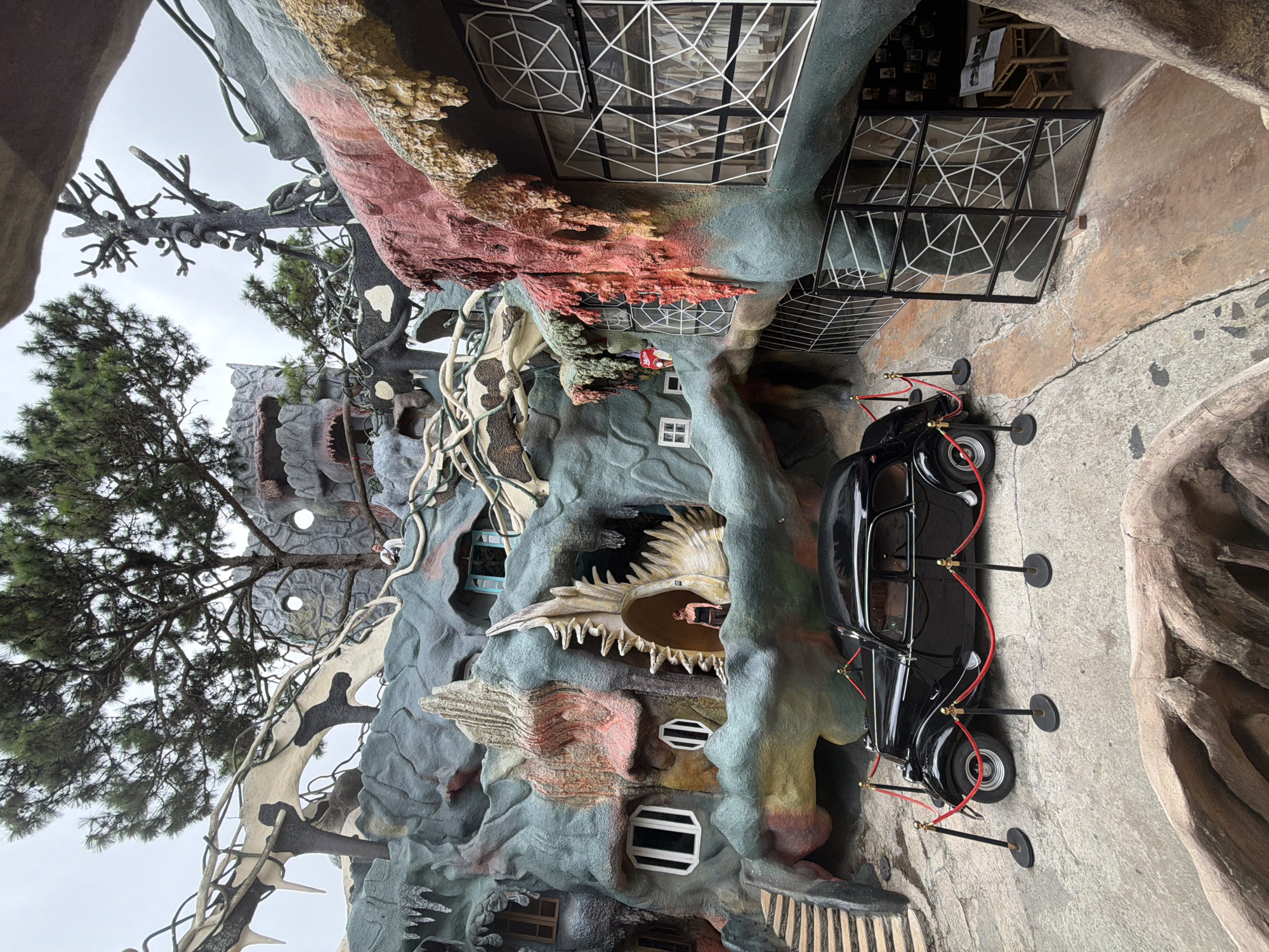 The image depicts the exterior of the Hang Nga Guesthouse, also known as the "Crazy House," in Da Lat, Vietnam. The architecture is organic and surreal, resembling a fantastical, cave-like structure with twisted shapes and vibrant, textured surfaces in shades of gray, red, and yellow. A vintage black car is centrally positioned in the foreground, roped off with red velvet barriers and gold stanchions. A woman stands within an opening in the building's facade, which resembles a gaping maw with sharp, tooth-like protrusions. Large trees with sparse branches frame the top of the image, contrasting with the unusual construction below. The environment appears to be an outdoor courtyard or pathway, with a textured, concrete-like ground surface.