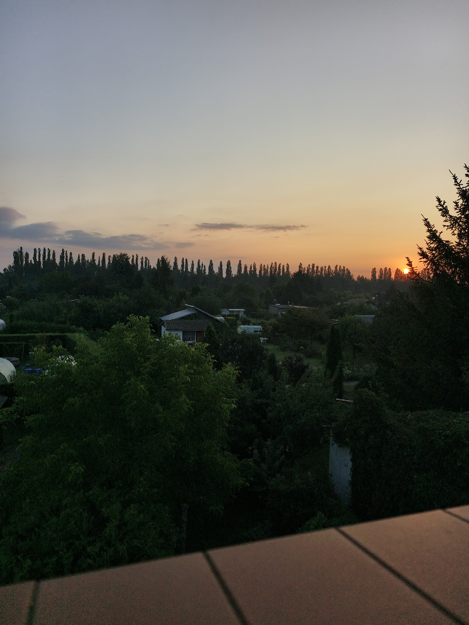 This is a photograph of a landscape at dusk, featuring a setting sun partially visible through a line of tall, slender trees in the distance. The sky transitions from a pale blue at the top to an orangey-yellow hue near the horizon, with some faint clouds. Below the sky is a dense expanse of green trees and foliage, interspersed with some small buildings or structures. In the foreground, a brown surface with diagonal shadow lines suggests a balcony or rooftop railing. The image evokes a peaceful, natural setting.
Based on the provided metadata and visual cues, this scene appears to depict a view from the vicinity of a suburban area or allotment gardens within the city of Tczew, Poland. The presence of numerous trees, small structures resembling garden sheds or cabins, and the overall ambiance are consistent with such locations.
