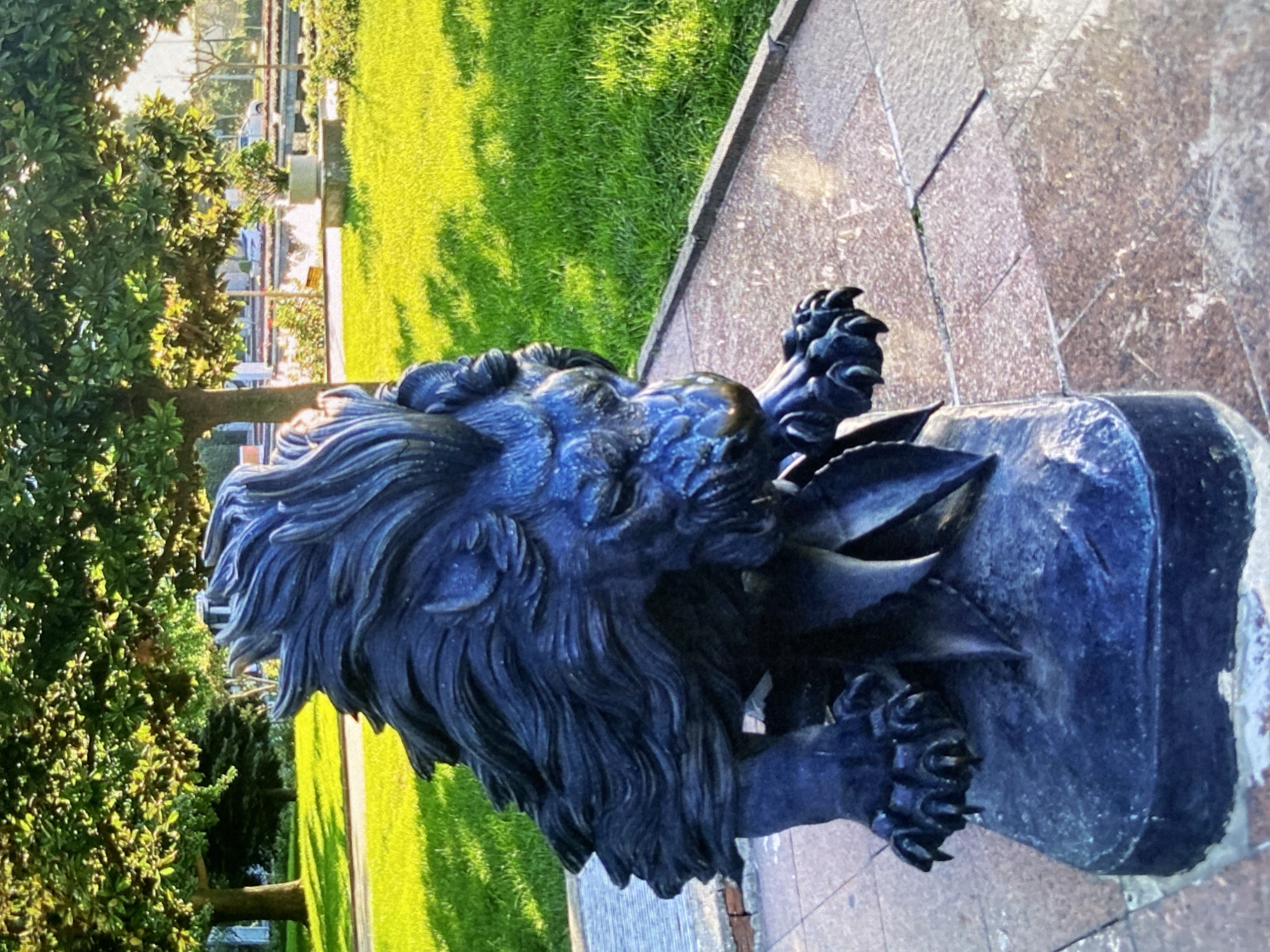 A dark, weathered statue of a lion is prominently featured in this outdoor scene, set in Bankya, Bulgaria. The lion, possibly made of bronze or cast iron, is depicted in a somewhat reclined or resting pose, holding a stylized plant or foliage, possibly a rose or a laurel branch, in its mouth and front paws. The statue has intricate detailing on its mane and paws.
The lion rests on a dark, block-like base, which is adjacent to a paved pathway or wall made of light brown and grey granite-like tiles. Beyond the statue, a vibrant green lawn stretches into the background, illuminated by bright sunlight that casts shadows, suggesting a clear, sunny daytime. To the left, lush green trees and bushes with dense foliage partially obscure the distant background. Further back, a road with visible vehicles, including cars, and some distant structures can be discerned, indicating an urban or semi-urban park setting. No discernible text is visible on the statue or its immediate surroundings.