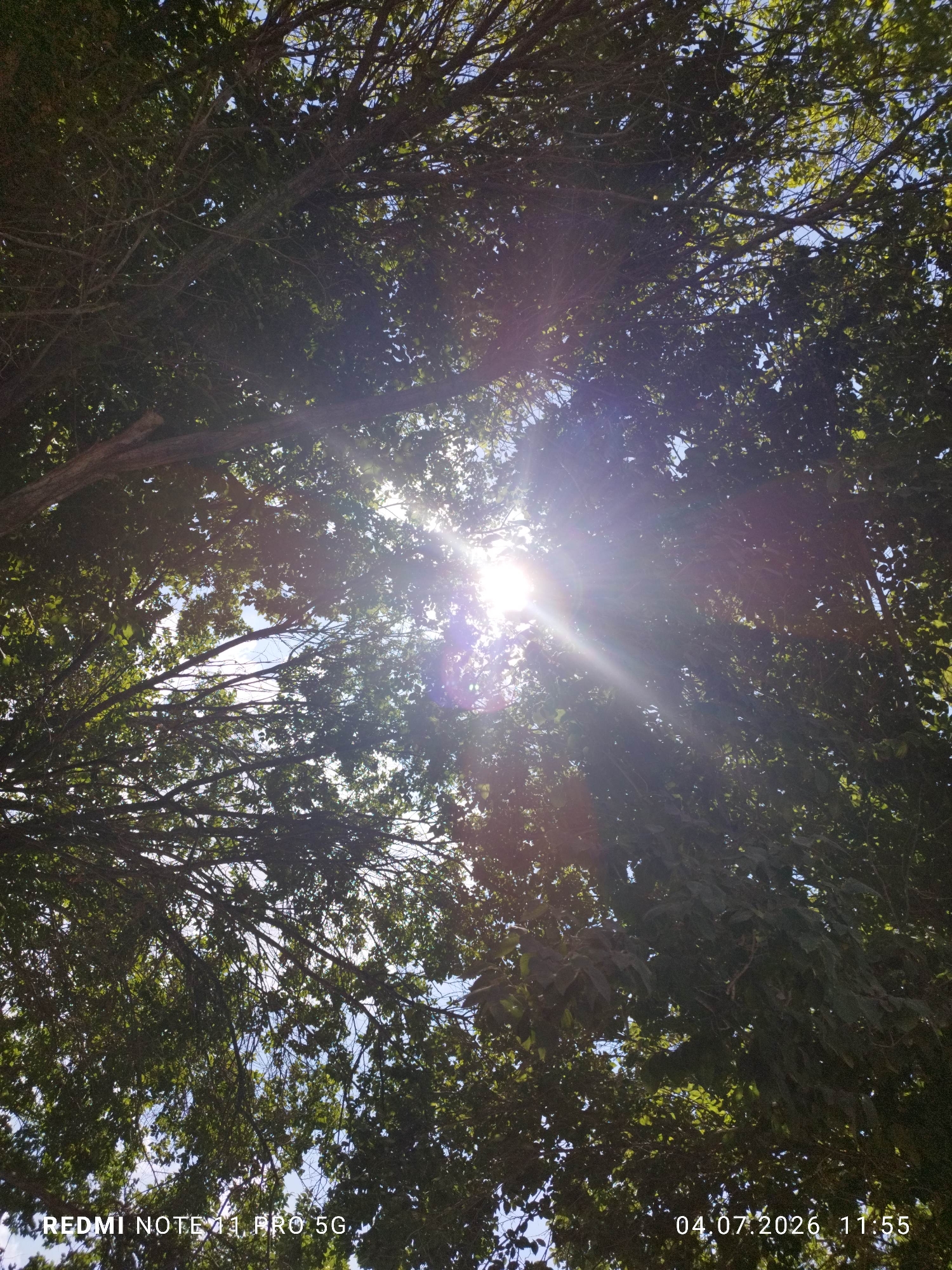 The image shows a view looking up through the branches and leaves of a tree towards a bright sun. The sun is partially obscured by the foliage, creating a lens flare effect and bright rays of light shining through the leaves. The sky is visible in patches between the leaves and branches. The bottom of the image contains text overlays, indicating "REDMI NOTE 11 PRO 5G" and "04.07.2026 11:55". The scene appears to be outdoors, possibly in a park or garden, on a sunny day in Hidoyat mahallasi, Uzbekistan. There are no people or specific objects visible other than the natural elements of the tree, sun, and sky.