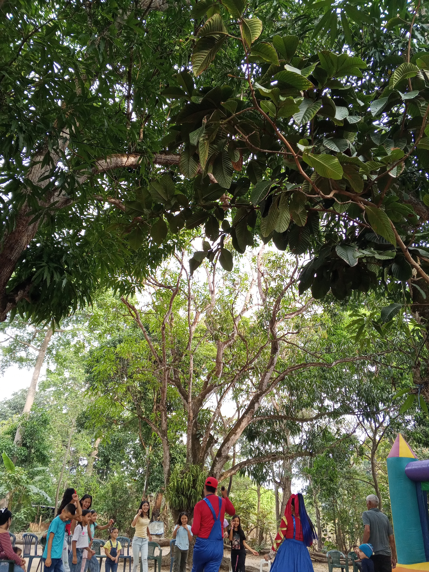 The image depicts an outdoor gathering, likely a celebration, in a natural setting under a canopy of trees. A group of children are interacting with two adults dressed in colorful, possibly folkloric, costumes. One adult is wearing red overalls, while the other is in a blue dress and a headdress with long blue streamers. Several other adults are present, some seated and some standing. The background includes more trees and a colorful inflatable structure, possibly a bouncy castle. The location is in Tinaquillo, Venezuela, based on the user's request.