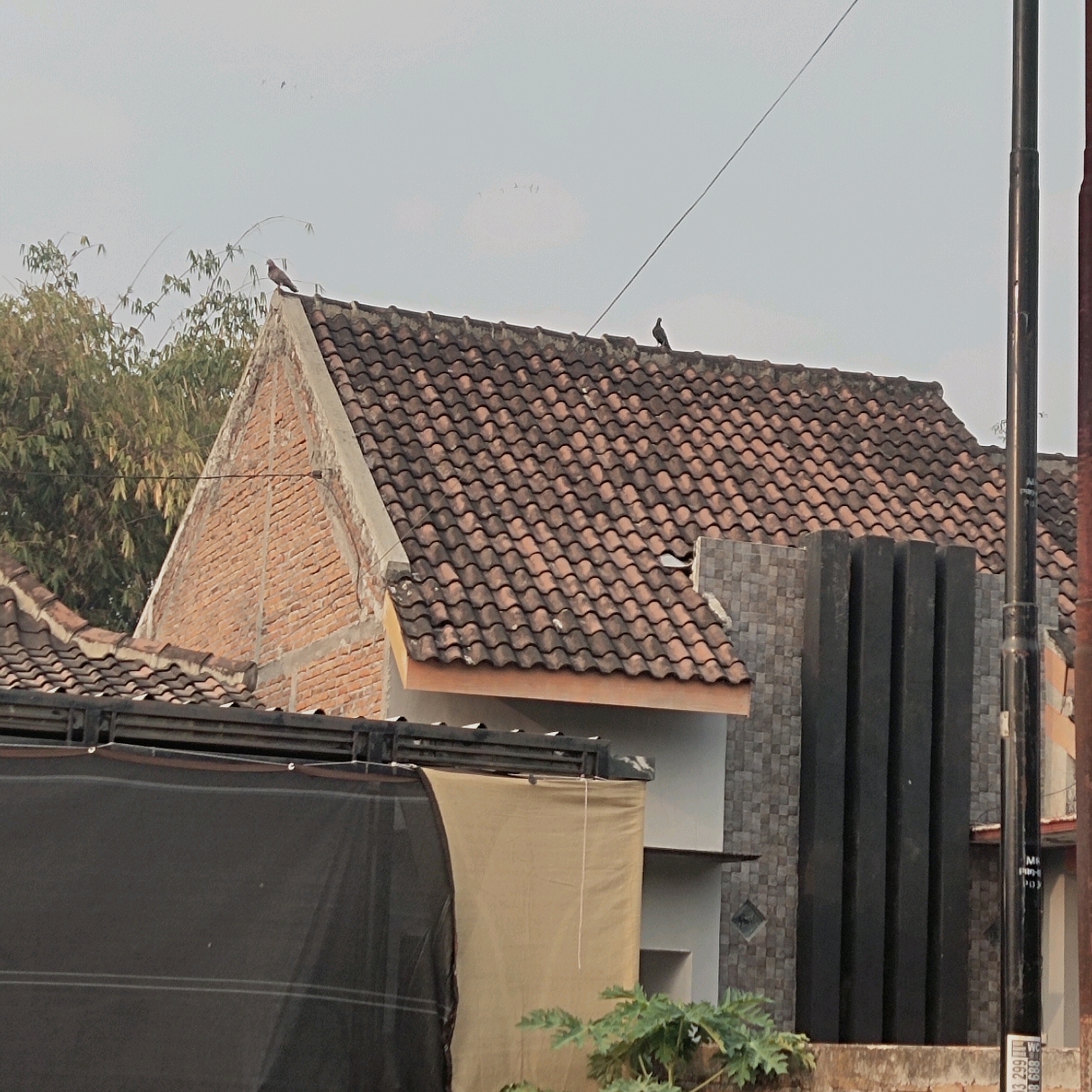 The image shows a close-up view of residential rooftops and a utility pole in Sragen, Indonesia. Two pigeons are perched on the tiled roof of a house, one on the peak and another further down. The house features a prominent brick gable end on the left side, contrasting with the red tiled roof that covers the main structure. To the right of the brick gable, a section of the house has a textured stone facade. In the foreground, a dark mesh covering and a tan fabric are visible, possibly tarps or coverings for outdoor structures. A dark, ribbed vertical element is positioned against the stone facade of the house. A utility pole stands to the right of the image, with faint markings and text visible on it. The sky is overcast with some distant, blurry shapes that could be birds in flight. The overall environment appears to be a residential area.