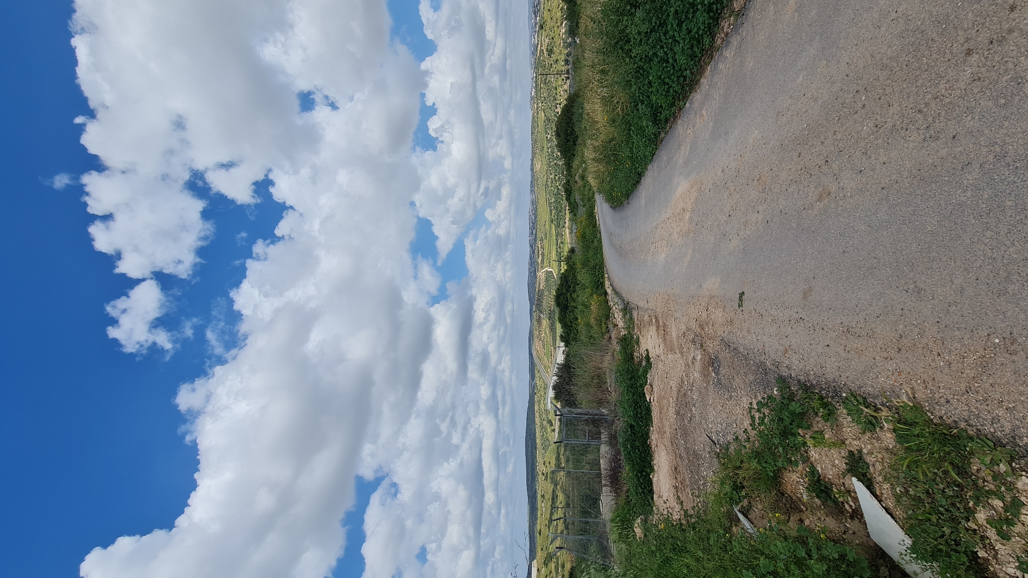 The image shows a narrow asphalt road running through a rural area in the Lachish Regional Council, Israel. The road curves gently to the right, with vegetation growing along its edges. Beyond the vegetation, a green agricultural landscape stretches out, with scattered trees and fields. A fence is visible in the distance, bordering the agricultural area. The sky is bright blue with numerous white clouds, taking up a significant portion of the image. The photo appears to have been taken on a sunny day.