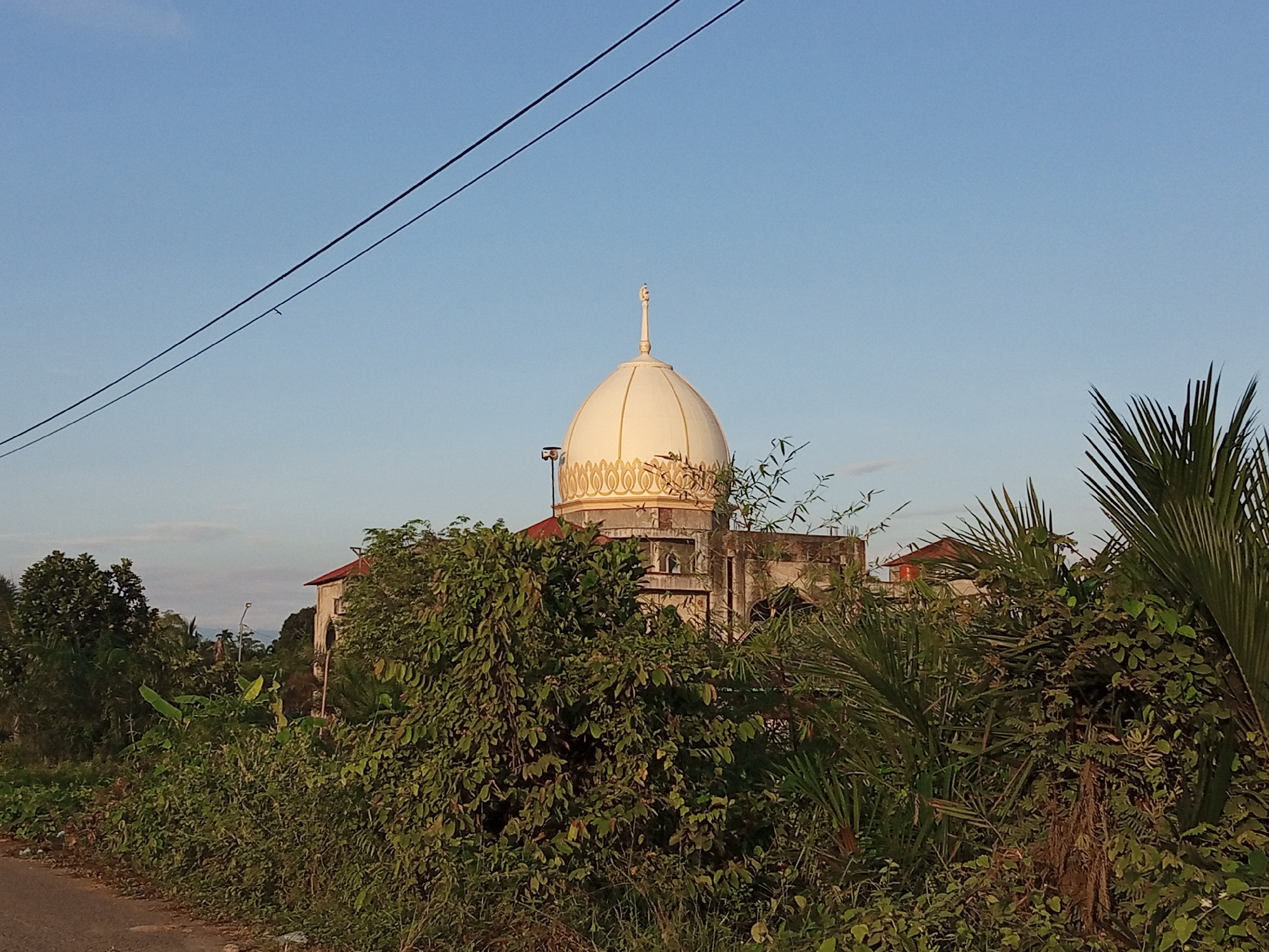 The image shows a mosque with a prominent white dome topped with a finial, situated amidst lush greenery. The dome has ornate golden detailing around its base. The building itself appears to be constructed of concrete and shows signs of age. In the foreground, a dirt road runs along the left side of the frame, bordered by dense vegetation. Palm fronds and other tropical plants are visible, obscuring parts of the mosque. Overhead, two dark power lines stretch across the clear blue sky. The scene is bathed in natural light, suggesting it was taken during the daytime, likely late afternoon or early morning due to the quality of the light. The location is identified as Kilometer Delapan, Indonesia. There are no people or animals visible in the image, and no specific actions are depicted. The environment is rural or semi-rural, characterized by the abundance of plant life surrounding the religious structure.