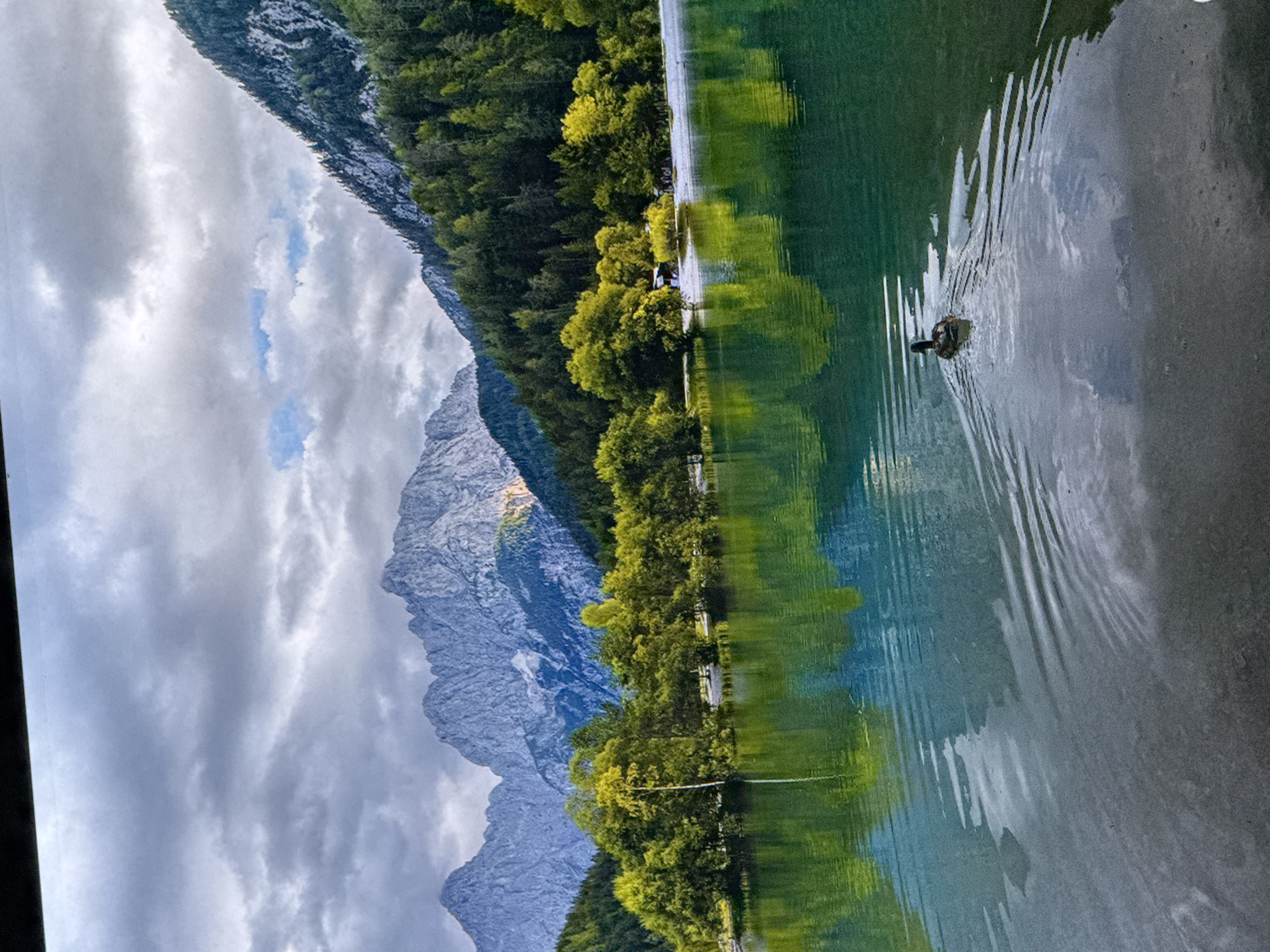 A tranquil, wide-angle, high-angle shot captures a serene lake scene with a duck swimming in the foreground. The duck, facing left, creates ripples as it glides through the emerald green water. The lake's surface reflects the surrounding lush green trees and the majestic, rugged mountains in the background, whose peaks are dusted with snow. A cloudy sky with patches of blue adds to the dramatic atmosphere. The shoreline features a sandy beach dotted with trees and a few small structures. This image is not located in the city of Saratov, Russia; it is a natural landscape scene.