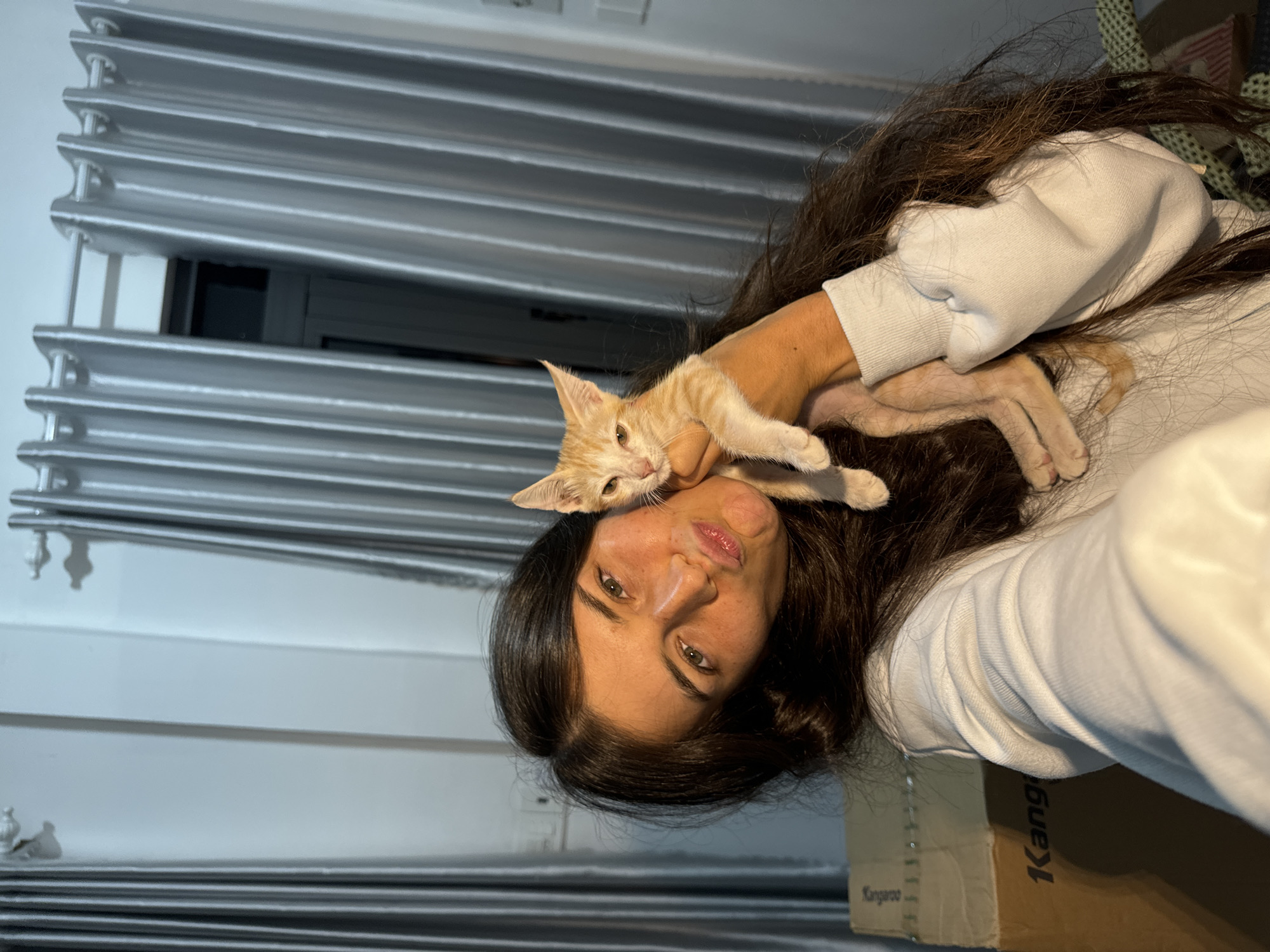 A young woman with long, dark brown hair is taking a selfie in an indoor setting. She is wearing a white sweatshirt and is holding a small, orange and white striped kitten. The woman is making a kissy face at the camera. The kitten is held cradled in her left arm and hand, with its head and front paws visible. In the background, there are light grey, pleated curtains. To the lower left of the image, a cardboard box with the word "Kangaroo" is visible. The lighting appears to be artificial and somewhat dim, creating shadows. The environment suggests a residential interior.