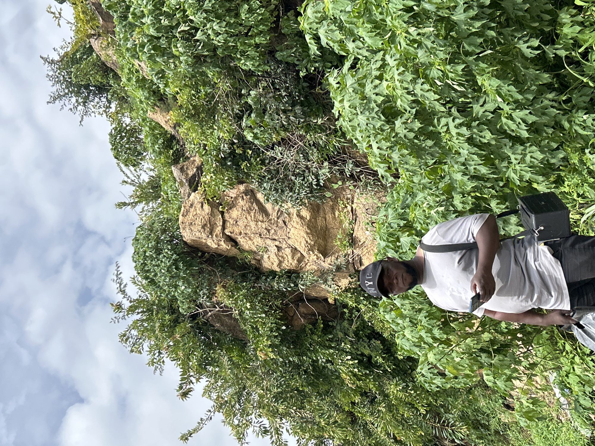 A person is standing amidst lush green foliage in a rocky, outdoor setting. The person is wearing a white t-shirt, black pants, and a black baseball cap with white lettering. They are holding a black object, possibly a phone, in their right hand. A black bag is slung over their left shoulder. The background consists of large rocks covered in greenery, with a cloudy sky visible. The overall impression is one of a casual outdoor excursion. The location is identified as Jos, Nigeria. The image appears to have been taken during the daytime, under natural light. There is no discernible emotion conveyed by the subject. The text visible on the cap reads "NYC".