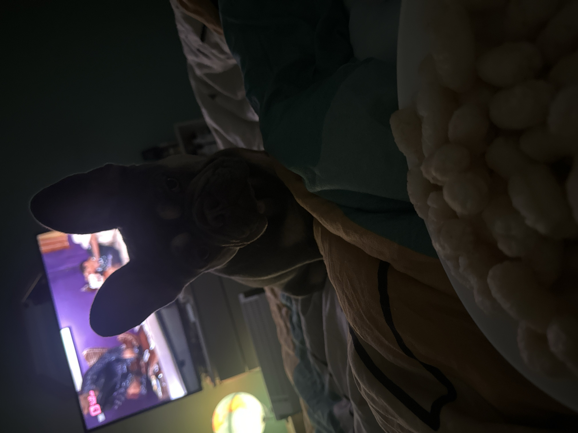 The image presents a low-angle, first-person perspective of a dimly lit room, suggesting a nighttime or dark indoor setting. In the immediate foreground, a dark, irregularly shaped object, possibly an arm or hand, is prominent, extending from the bottom left. To its right, a white bowl filled with numerous light-colored, puffed snacks or cereal is visible, partially tucked into multi-patterned bedding.
The bedding, comprising blankets and sheets in various shades of teal, blue, yellow, and beige with dark stripes, suggests a bed or comfortable lounging area. A partial view of a person or animal, possibly a dog with one eye visible, can be seen nestled among the blankets in the mid-ground.
A television screen dominates the left side of the frame, displaying what appears to be a video or show featuring two individuals. One person is wearing purple or pink attire, while the other has dark hair and a patterned outfit. Faint, indecipherable text, possibly numbers like "20" or "40," is visible at the bottom-left corner of the screen. Below the TV, a spherical object, potentially a lamp, emits a soft, warm glow. The overall scene depicts a relaxed environment, likely someone watching television and enjoying a snack in bed.