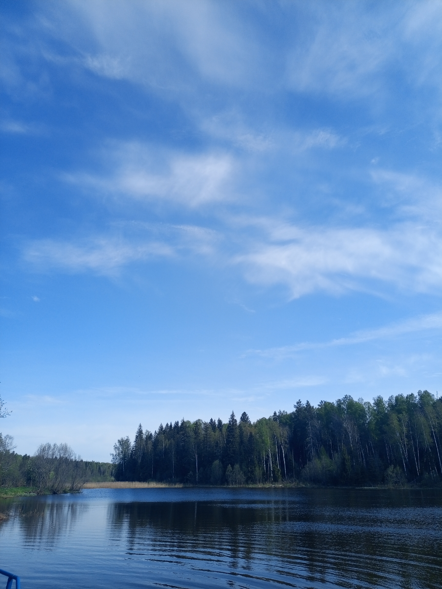 The image depicts a lake surrounded by a forest under a blue sky with thin, wispy clouds. The lake surface is dark with subtle ripples. The forest consists of a mix of evergreen and deciduous trees, with some trees showing the fresh green foliage of springtime. On the left side of the lake, there is a small patch of bare trees. A hint of a blue object appears in the bottom left corner, possibly part of a boat. The location is Ural'skoe, Russia.