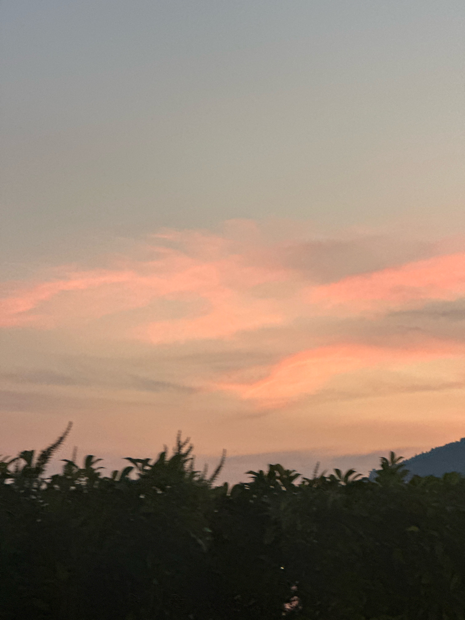 The image shows a twilight sky with scattered pink and orange clouds over a dark silhouette of trees and a mountain. The sky transitions from a pale blue at the top to softer pink and orange hues closer to the horizon. The foreground is dominated by dense, dark foliage, with indistinct shapes of leaves and branches. On the right side, the dark outline of a mountain peak is visible against the colorful sky. The scene appears to be an outdoor landscape, possibly at dusk, and does not contain any recognizable landmarks or elements that would specifically place it within the city of Budva, Montenegro.