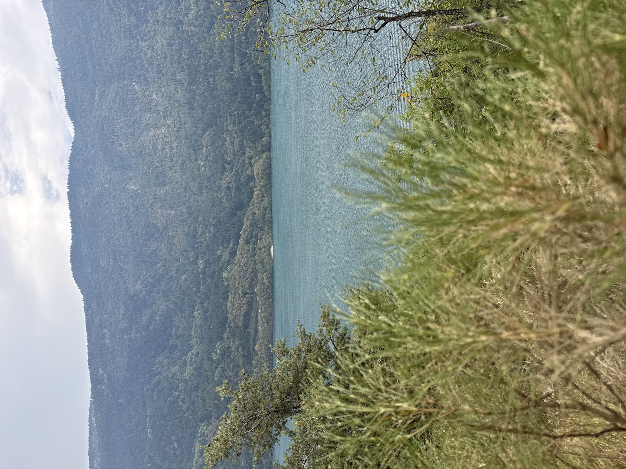 The image depicts a serene natural landscape featuring a calm, turquoise body of water bordered by a dense, forested mountain range under a cloudy sky. In the foreground, lush green foliage, with a hint of dry grass and branches, partially obscures the view of the water. The trees on the mountain slopes are a mix of evergreen and deciduous species, suggesting a temperate climate. The water's surface is gently rippled, reflecting the soft light. There are no people or man-made structures clearly visible, contributing to the overall sense of tranquility and natural beauty. The location is stated to be in the city of Unknown, Italy.