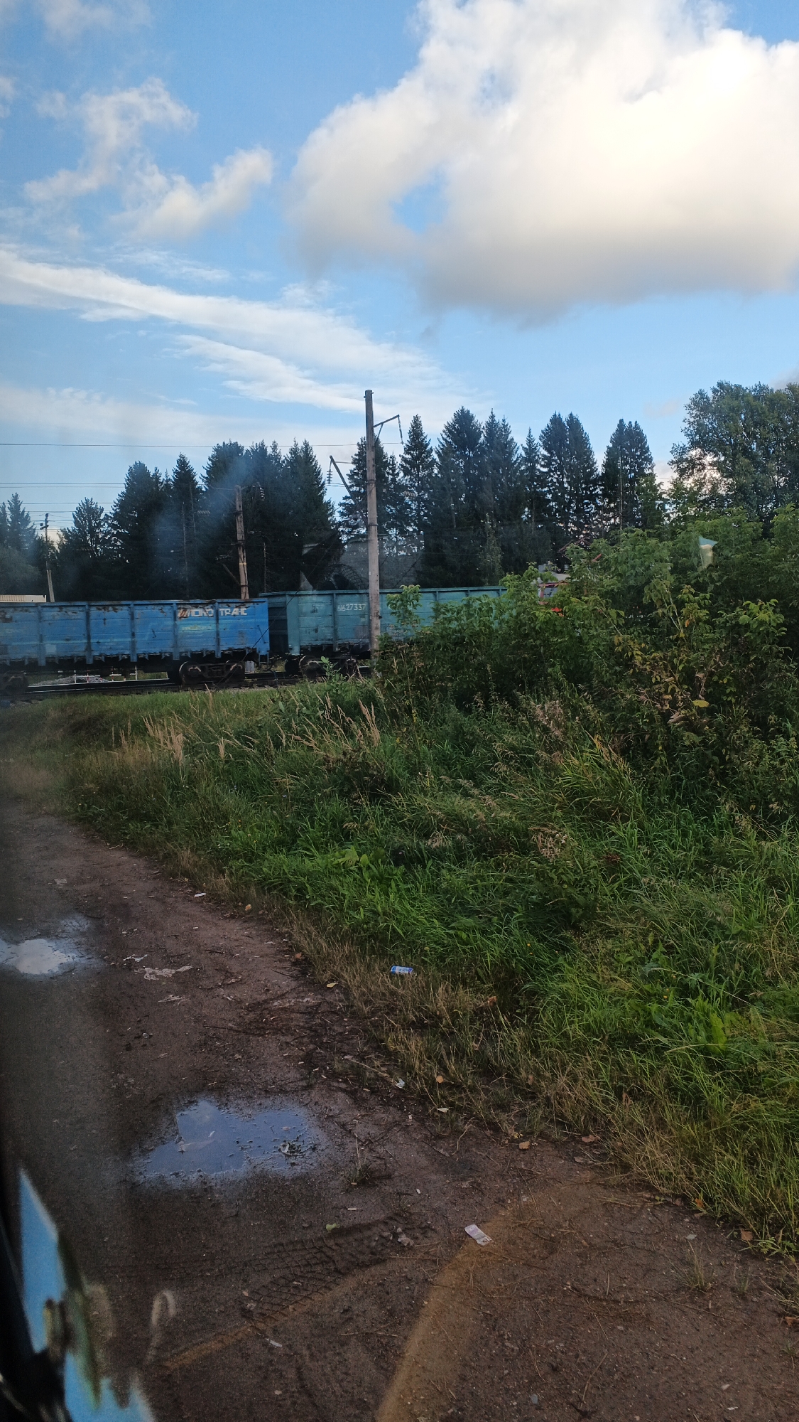 The image depicts a scene near a railway track in the village of Kechevo, Russia. A train composed of several blue cargo wagons is moving along the track. The wagons have some lettering, including "MAC TPAC" and "XA27537". In the foreground, a dirt path is visible, with puddles of water and tire tracks indicating recent activity. The path is bordered by tall, dry grass and lush green vegetation. A line of coniferous trees forms a dense background behind the railway, with a few power poles interspersed. The sky above is a bright blue with scattered white clouds. There are no people visible in the image.