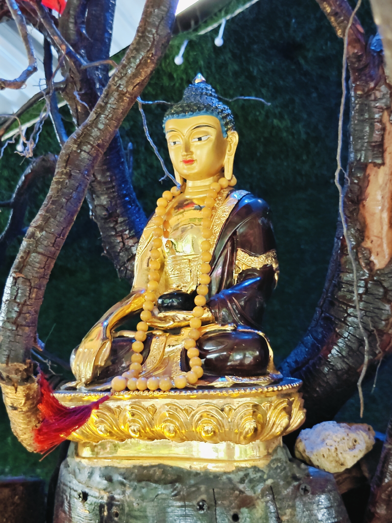 The image shows a golden statue of Buddha sitting in a meditative pose, adorned with a yellow bead necklace. The statue is placed on a golden lotus pedestal, which rests on a dark, textured base. The Buddha statue is framed by gnarled, dark tree branches, one of which has a red tassel hanging from it. The background is a dark green, textured surface, possibly artificial grass, with some small white lights visible. The scene appears to be an outdoor or semi-outdoor setting, likely a shrine or garden. While the image itself does not provide explicit location markers, such devotional displays are commonly found in religious sites and tourist areas in Pokhara, Nepal, particularly around Lakeside or near temples like the World Peace Pagoda.