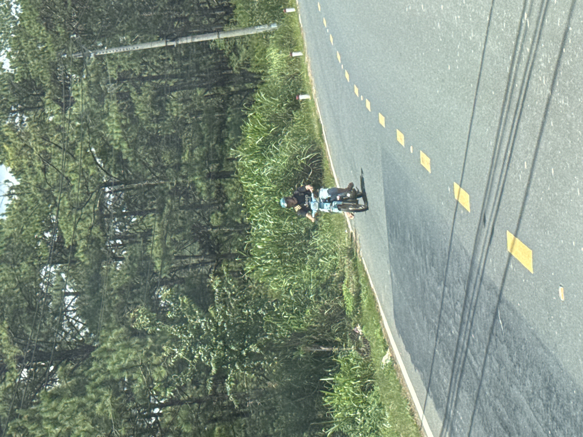The image depicts a person riding a light blue motorcycle on a paved road. The rider is wearing a dark t-shirt with white lettering that appears to spell "Jeep" and a light-colored helmet. The motorcycle has a license plate visible. The road is marked with yellow dashed lines. To the left of the road, there is a grassy embankment with tall green vegetation, and beyond that, a dense forest of pine trees. To the right of the road, there are several white bollards with red tops, and a utility pole with wires. The scene appears to be in a rural or suburban area, possibly Thôn 6, Vietnam, given the vegetation and road markings. The lighting suggests it is daytime.