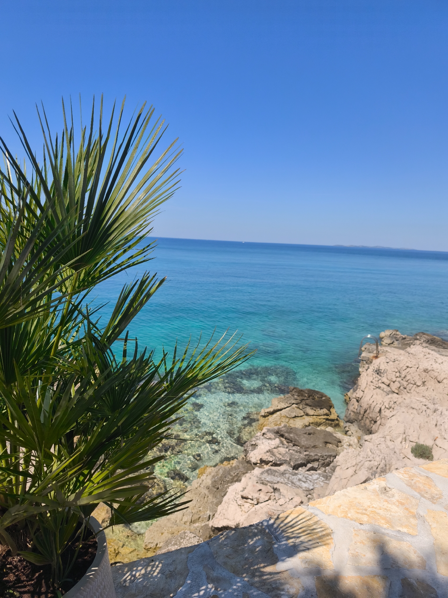 The image depicts a coastal scene, likely a beach or rocky shoreline, characterized by clear turquoise waters meeting a bright blue sky. In the foreground, a potted palm tree adds a touch of greenery. The rocky terrain transitions to a paved area with stone tiling. The location details, city and region, are unknown based on the given information.