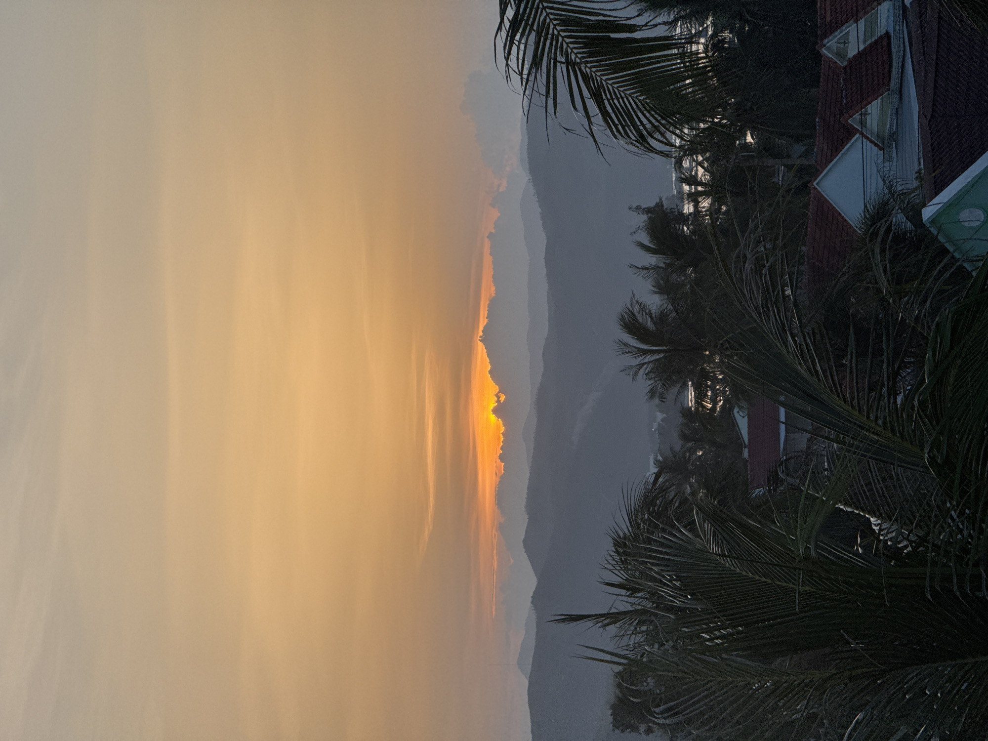 The image depicts a sunset over the coastal city of Song Cau, Vietnam. In the foreground, lush palm fronds obscure several rooftops, with the warm terracotta of tiled roofs contrasting with the muted tones of white and teal painted building exteriors. Beyond the buildings, a line of dark, silhouetted mountains stretches across the middle ground, their undulating peaks softened by atmospheric haze. The sky is a canvas of soft orange and yellow hues, with the sun, partially obscured by clouds, casting a bright glow on the horizon. Wispy clouds drift above the mountains, catching the last rays of the setting sun. The overall scene is one of tranquility and natural beauty, characteristic of a tropical evening.