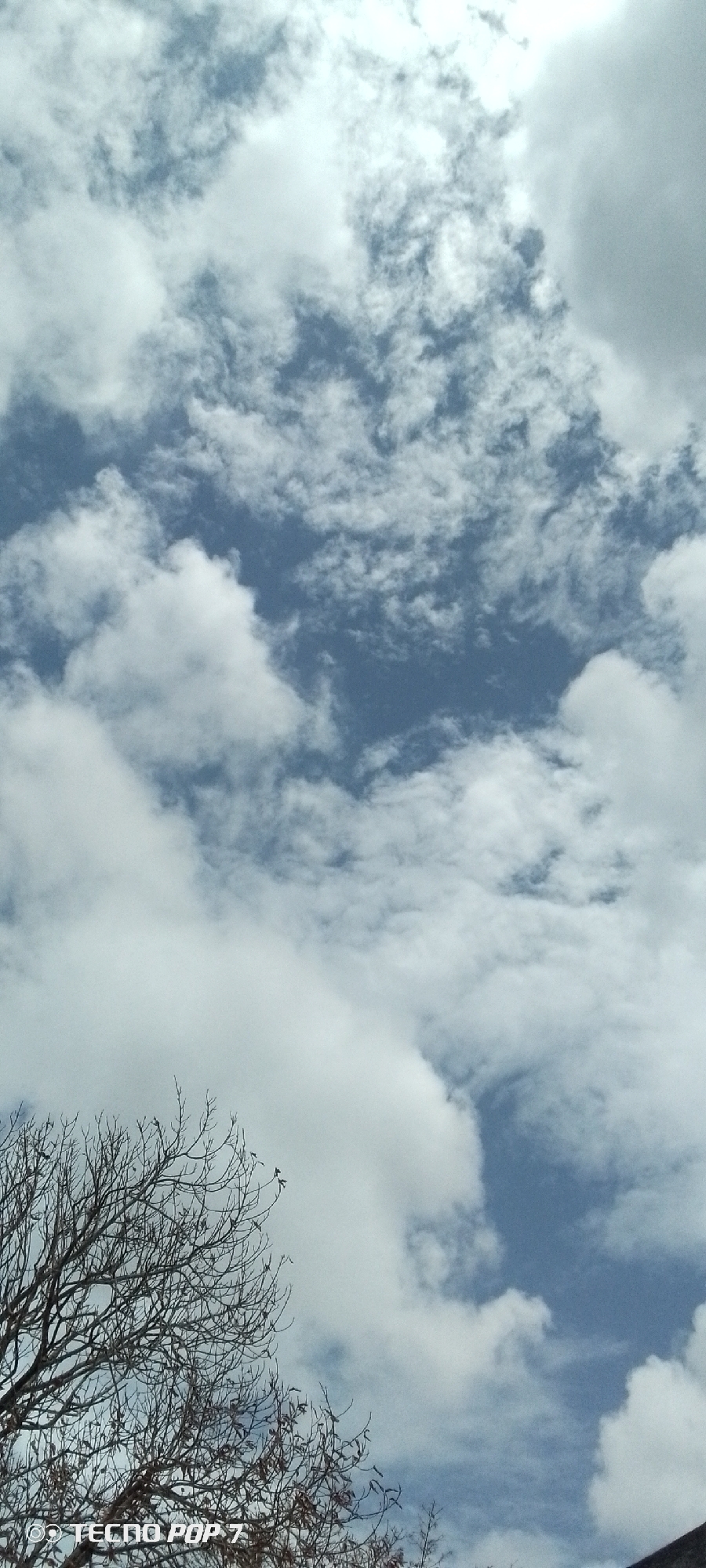 The image depicts a view looking up at a sky filled with white and gray clouds. Patches of blue sky are visible between the clouds. In the lower left corner, the branches of a tree without leaves are visible. The photo was taken in Altagracia, Venezuela, as indicated by the EXIF data. There are no people, animals, or identifiable landmarks visible.