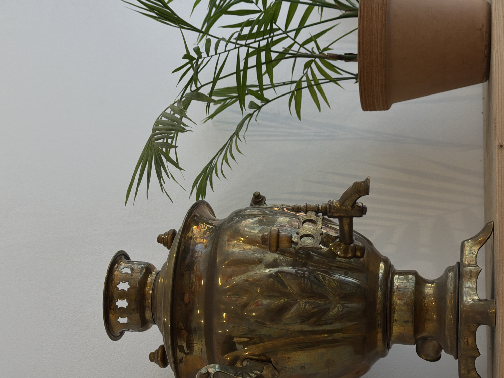 The image shows a brass samovar, positioned in front of a white wall. Above the samovar, a houseplant in a terracotta pot is visible. The pot is attached to a wooden support. The location, Budva, Montenegro, is not visually confirmed from the image itself.